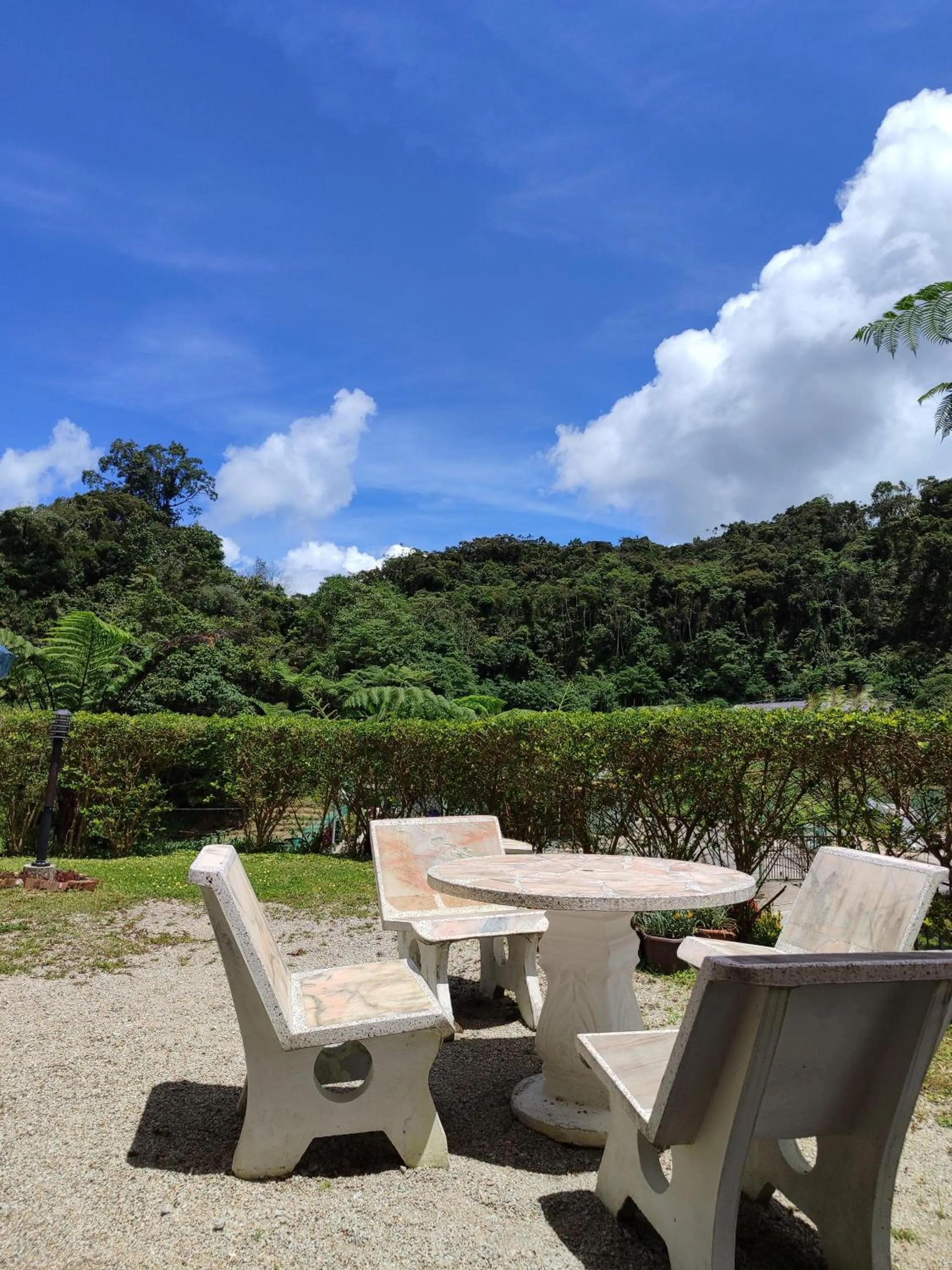 Garden view in Rovers Inn Guesthouse - Age 11 And Above Only