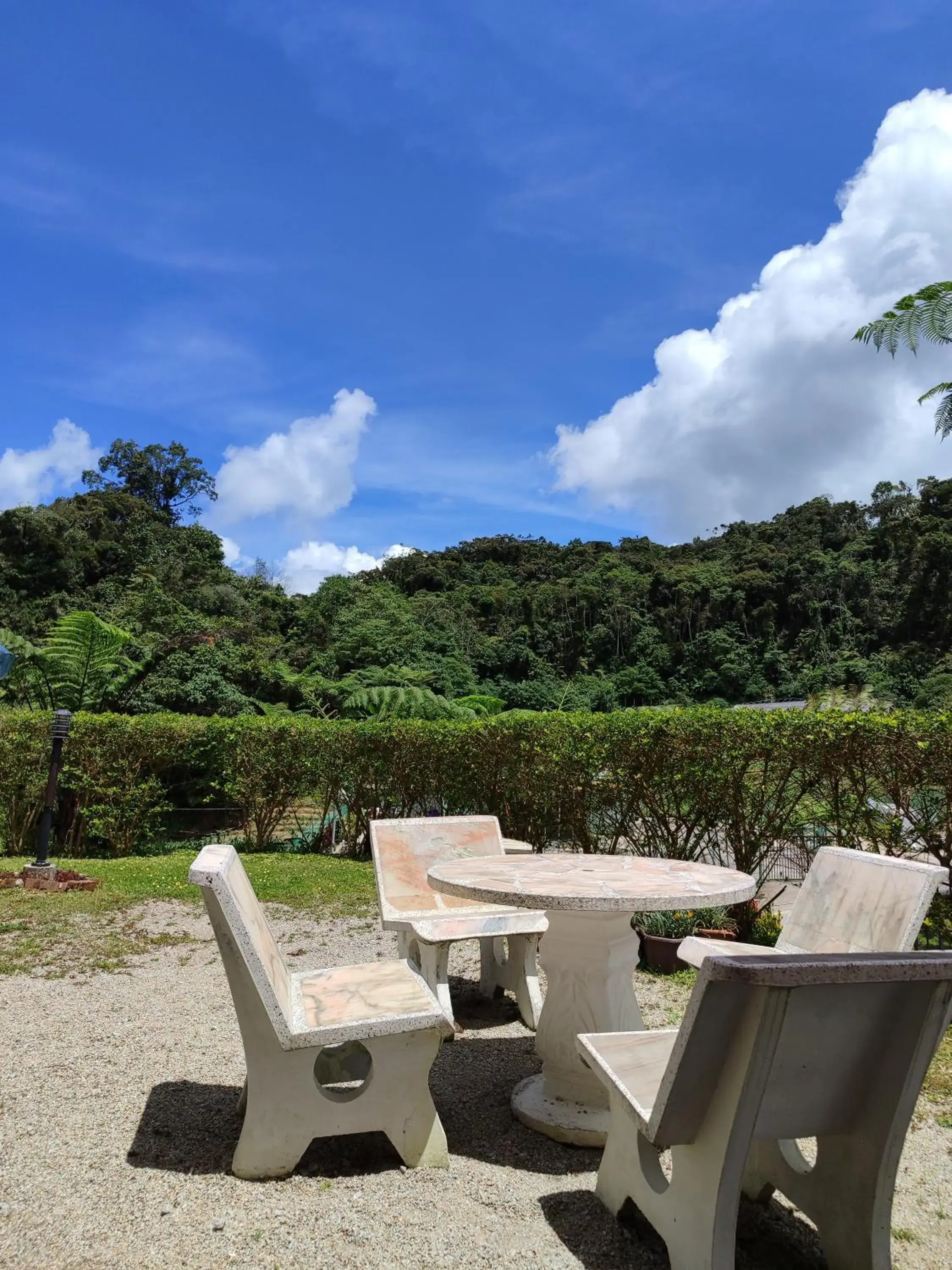 Garden view in Rovers Inn Guesthouse - Age 11 And Above Only Garden view in Rovers Inn Guesthouse - Age 11 And Above Only