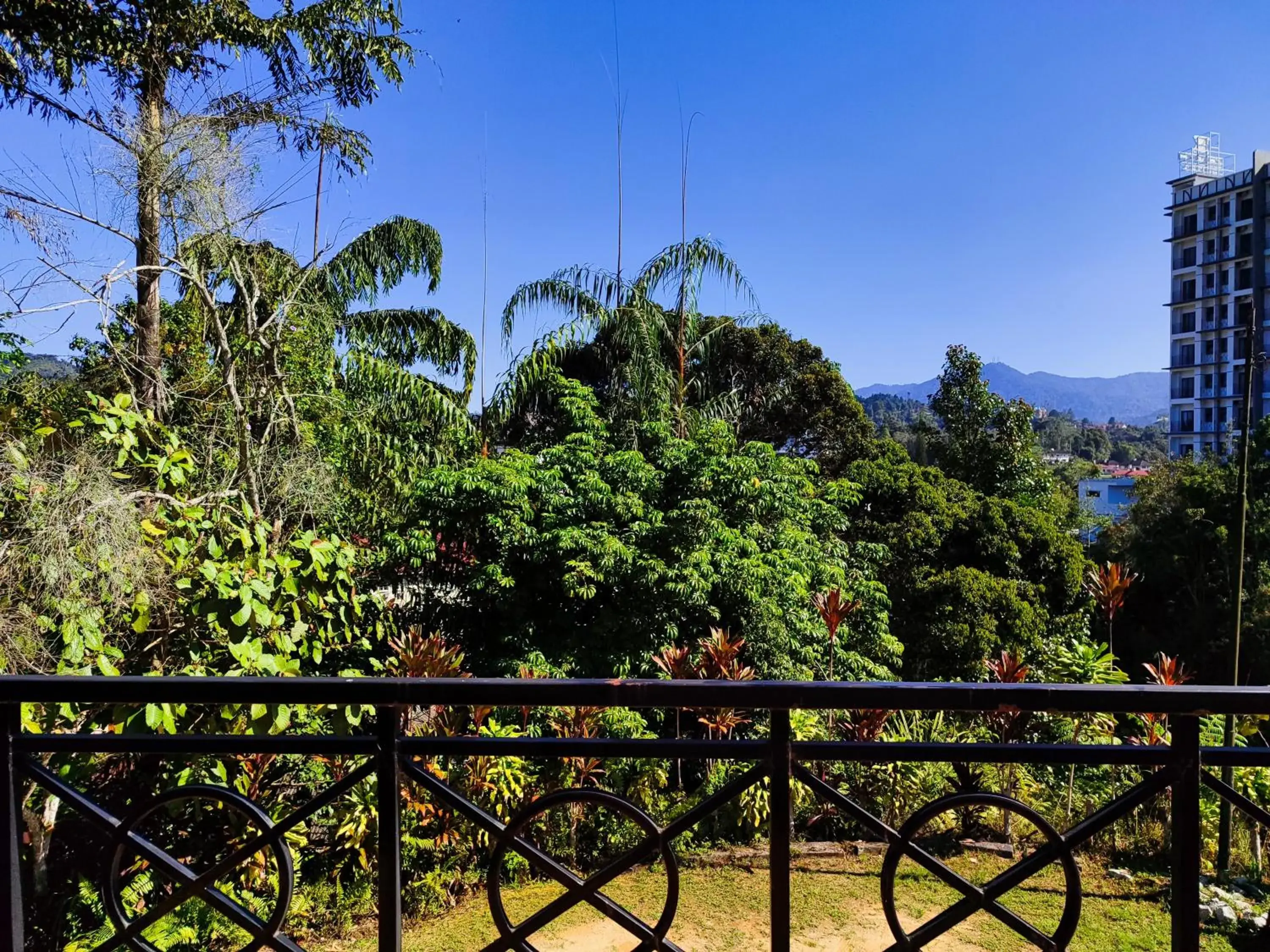 View (from property/room) in Rovers Inn Guesthouse - Age 11 And Above Only View (from property/room) in Rovers Inn Guesthouse - Age 11 And Above Only