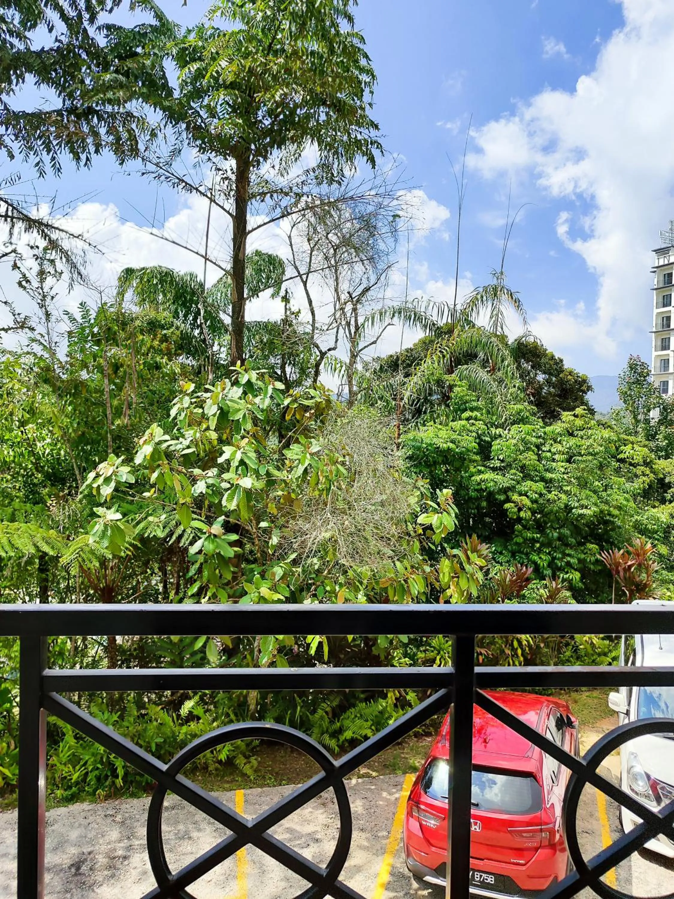 Natural landscape in Rovers Inn Guesthouse - Age 11 And Above Only