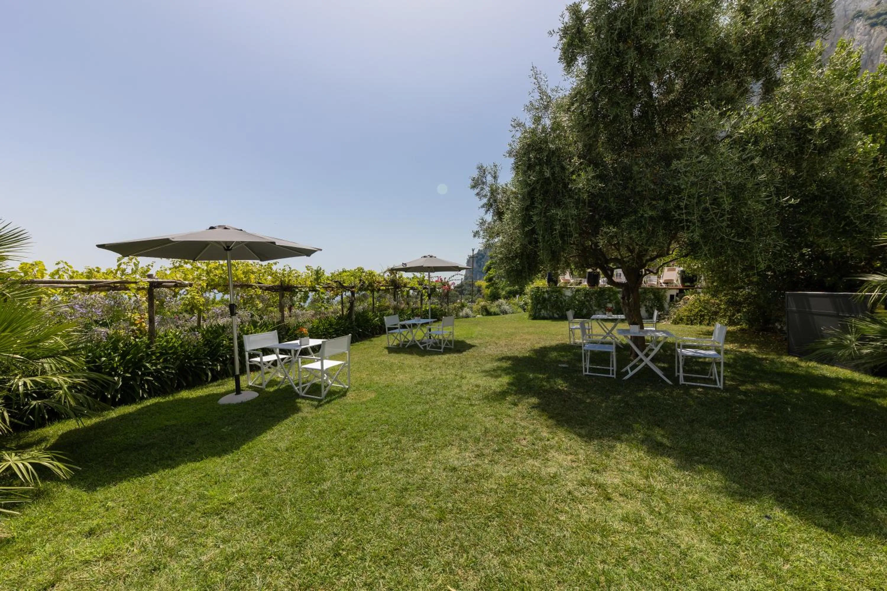 Garden in Villa La Pergola Capri