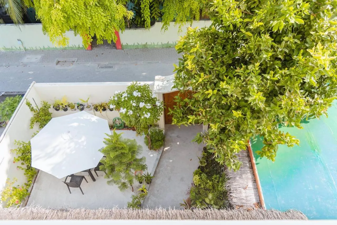 Garden view in MEHEL - Holiday Home - Mahibadhoo