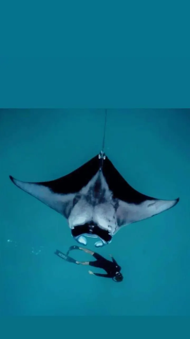 MEHEL - Holiday Home - Mahibadhoo