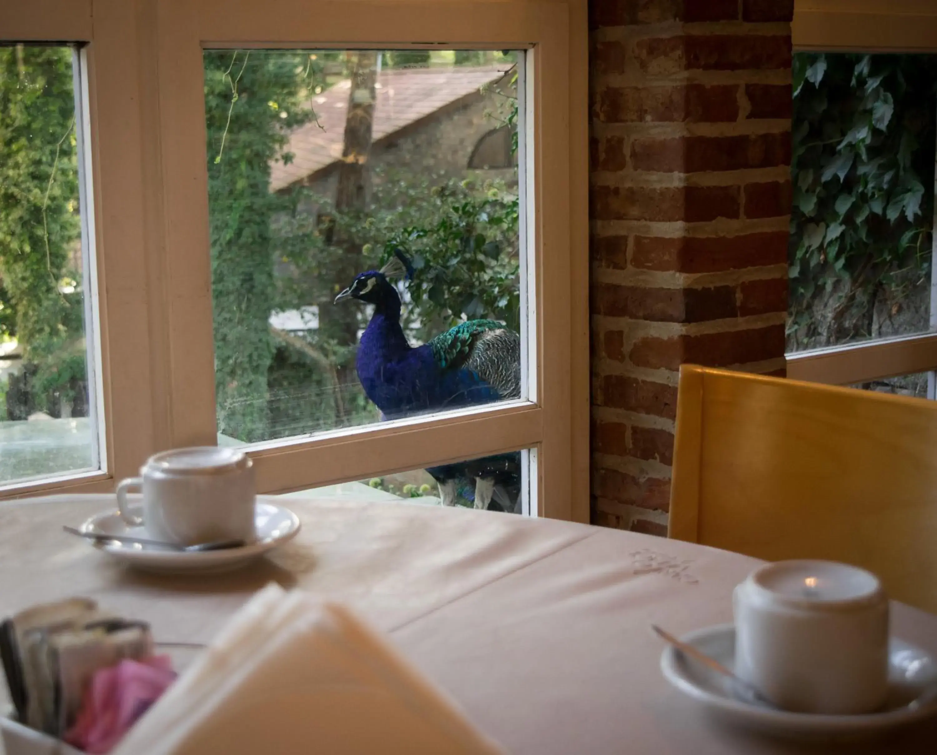 Breakfast in Carilo Village Apart Hotel & Spa Breakfast in Carilo Village Apart Hotel & Spa