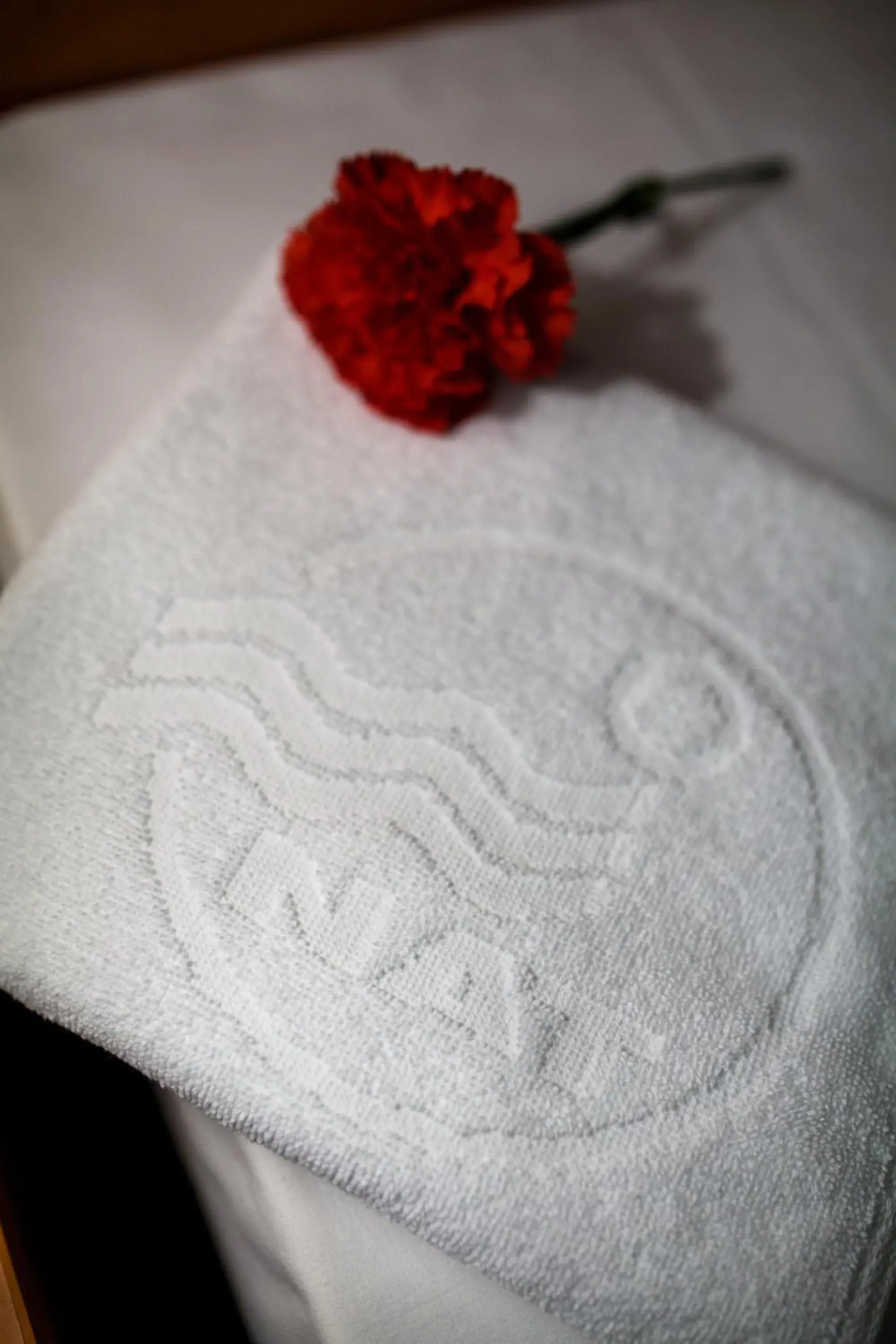 Twin Room with Extra Bed in OW Eden Twin Room with Extra Bed in OW Eden