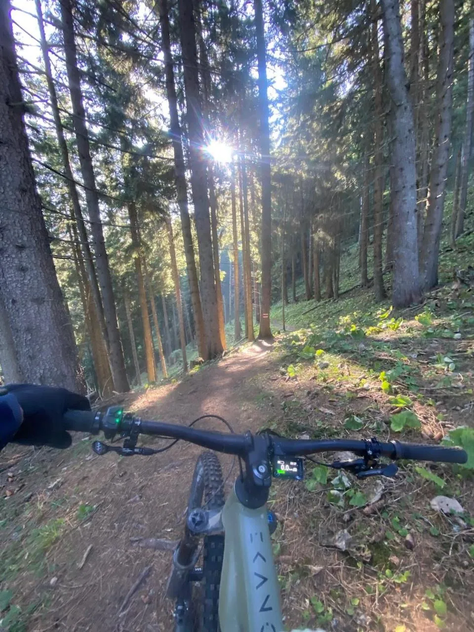 Natural landscape in Hotel Malixerhof