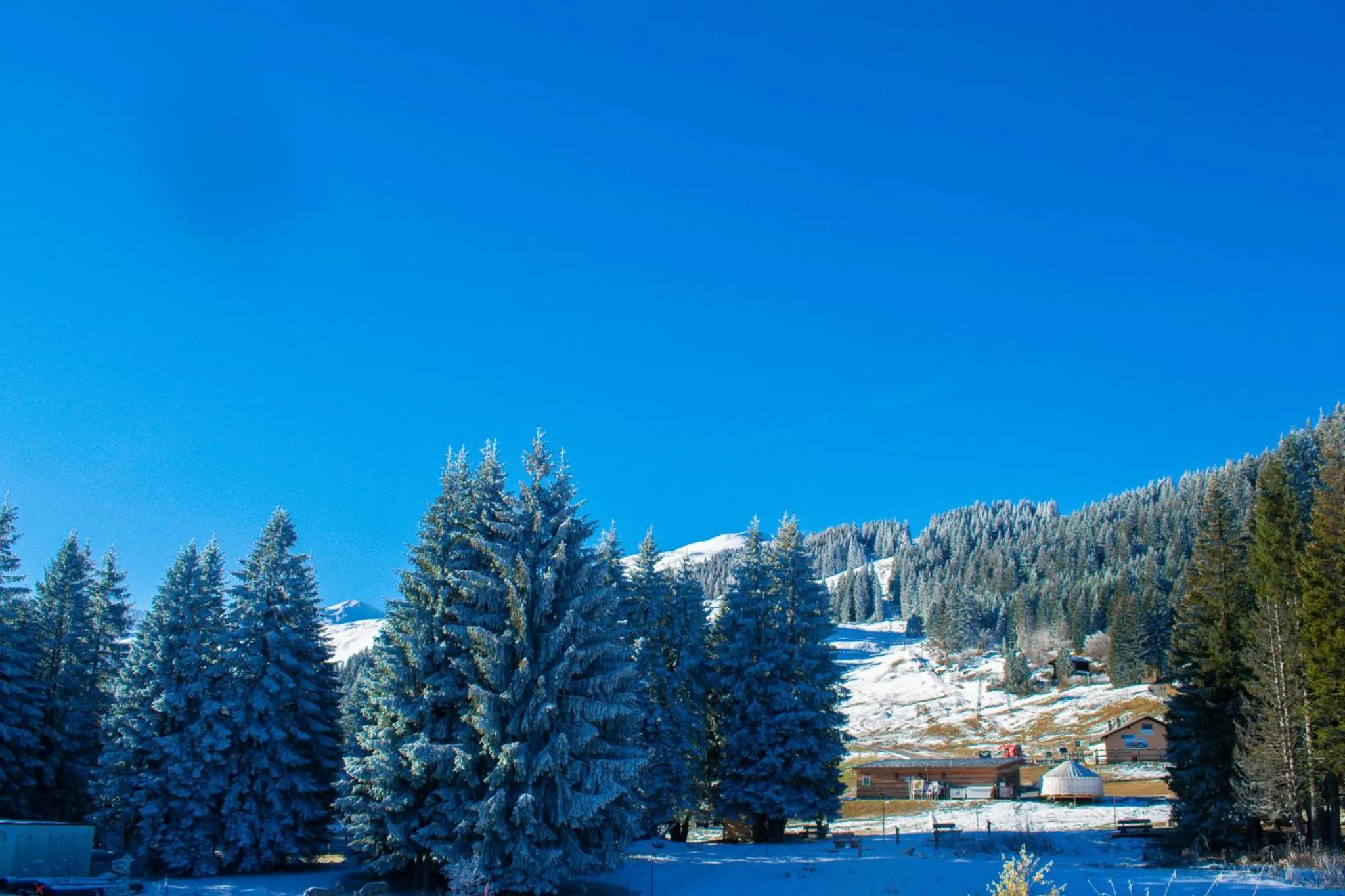 Balcony/Terrace in Hotel Malixerhof