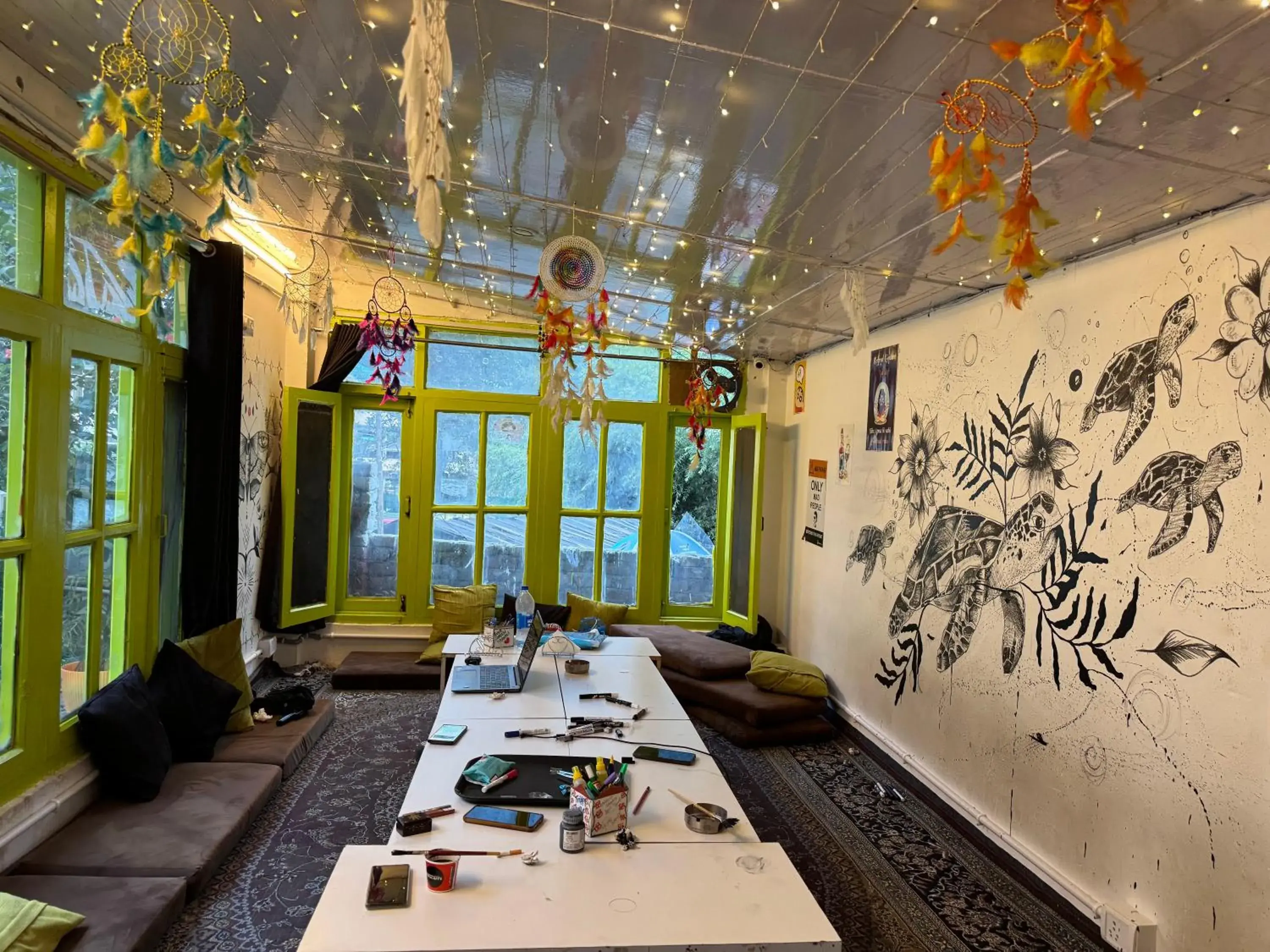 Trippy Turtle Hostel Trippy Turtle Hostel