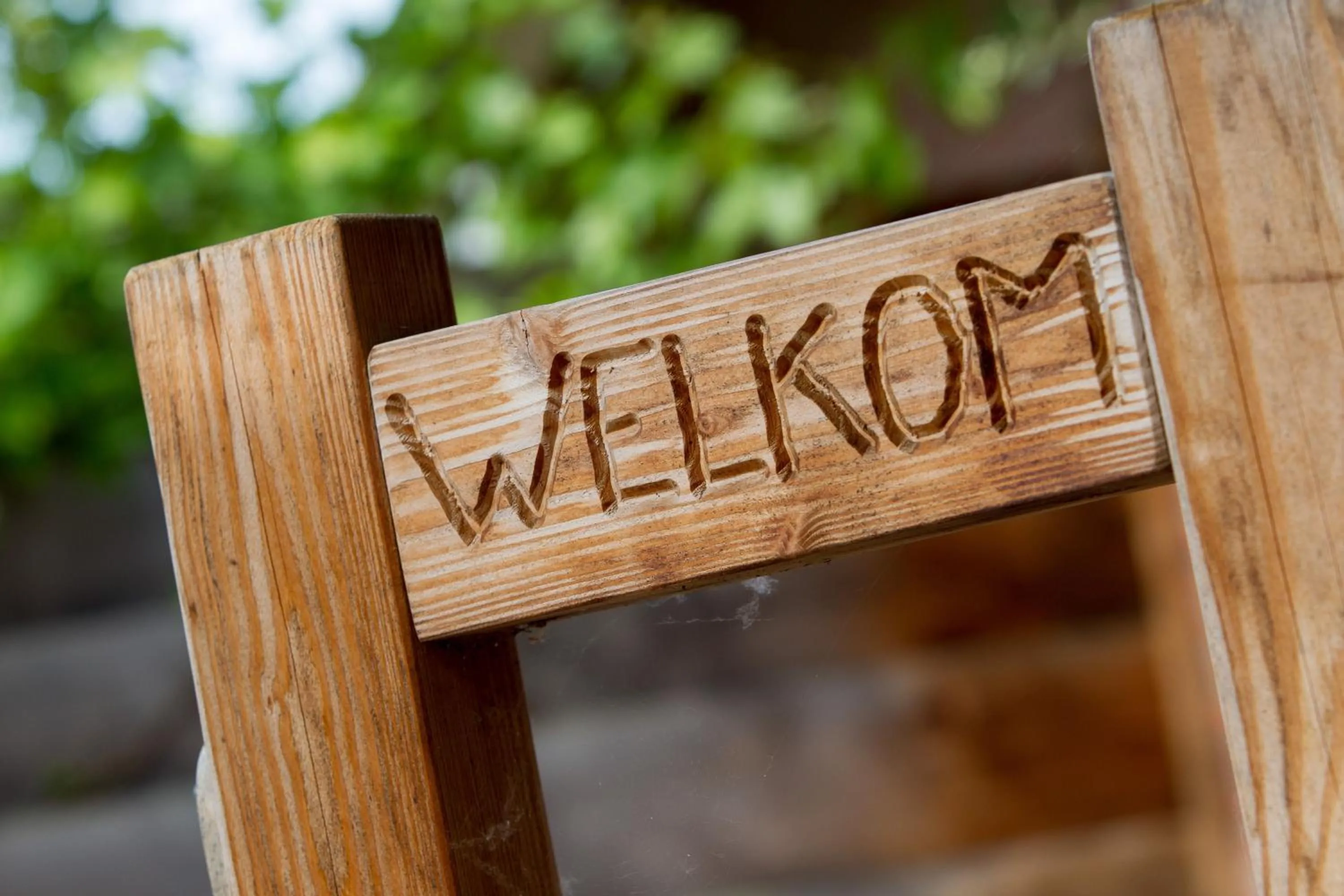 Balcony/Terrace in Hotel & Lodges Erve Bruggert