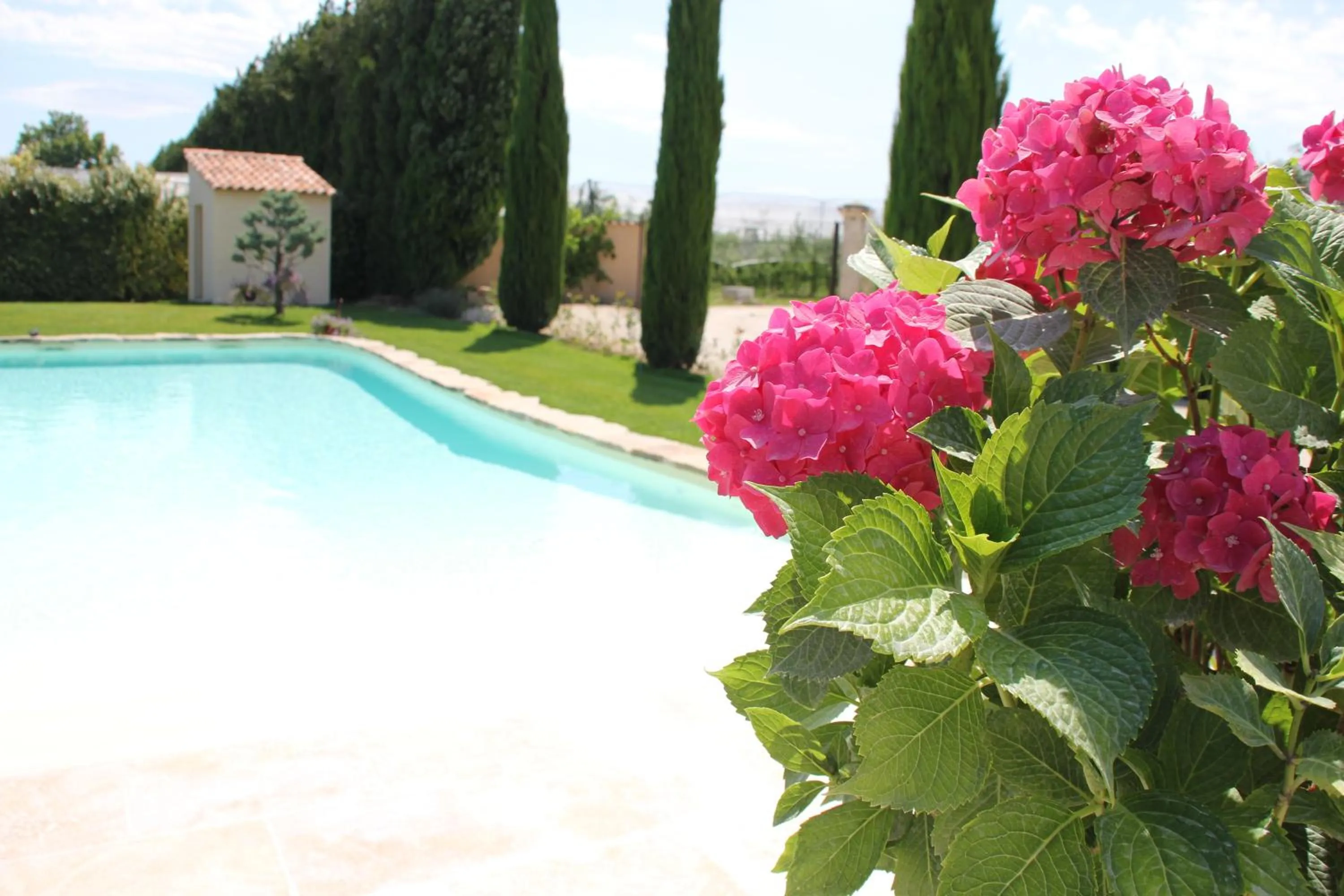 Swimming pool in Mas Saint Julien