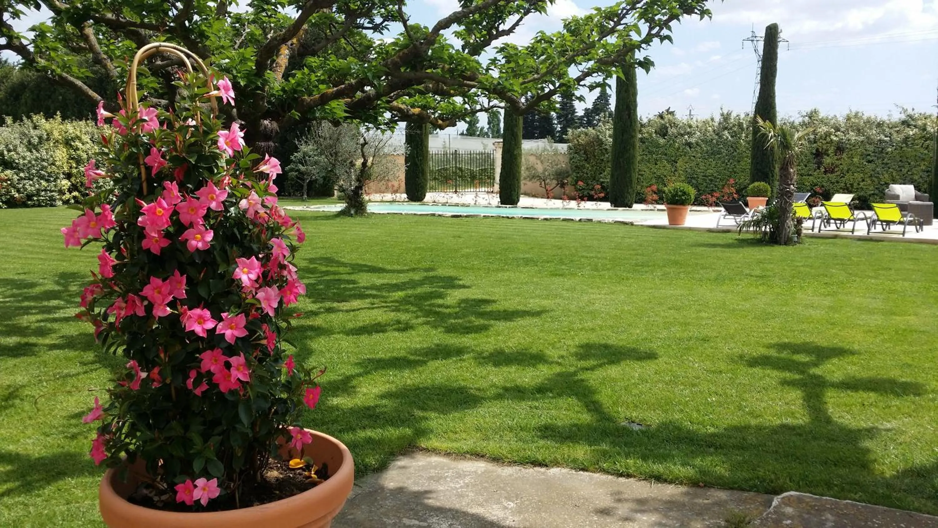 Garden in Mas Saint Julien