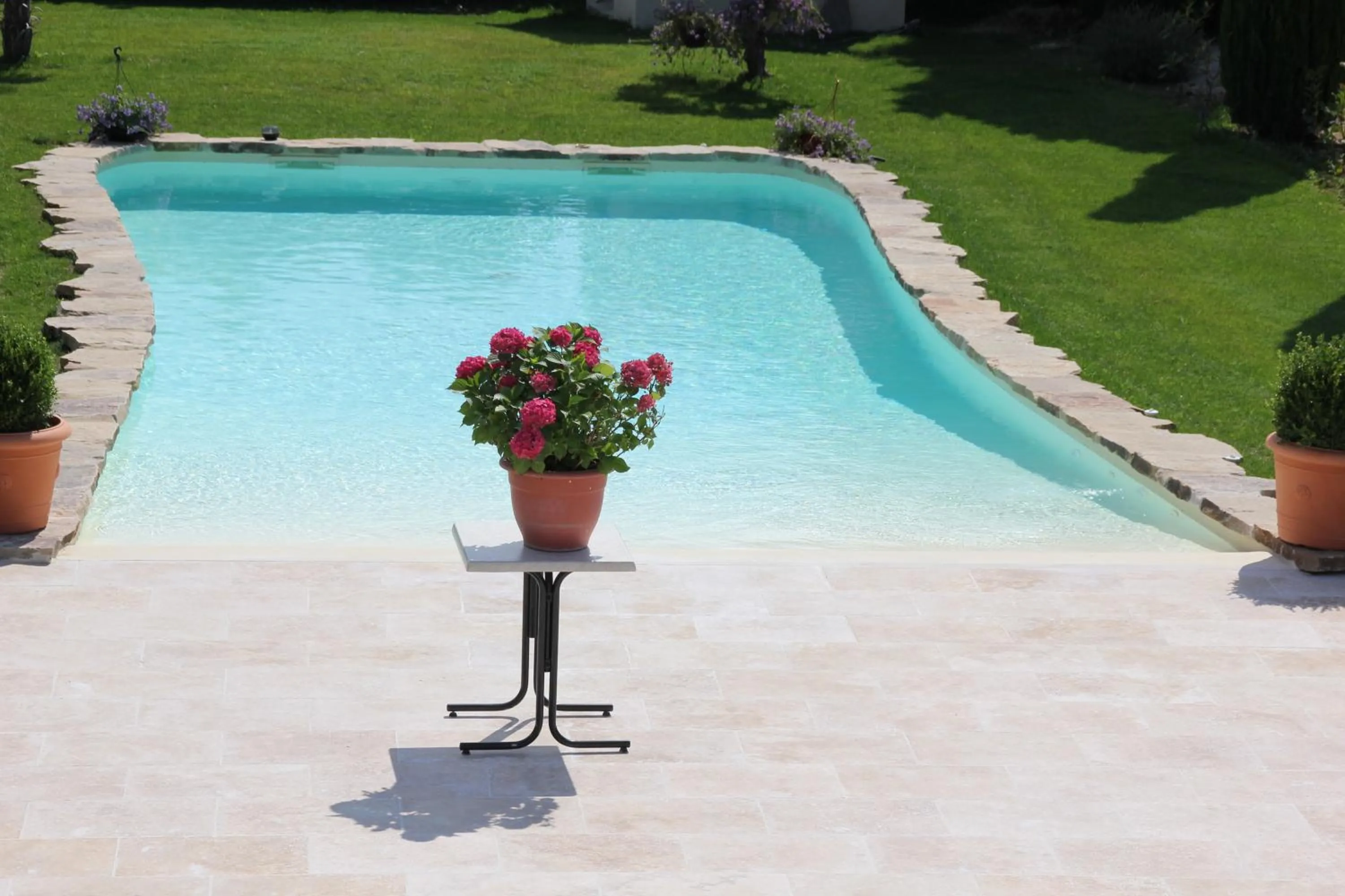 Swimming pool in Mas Saint Julien