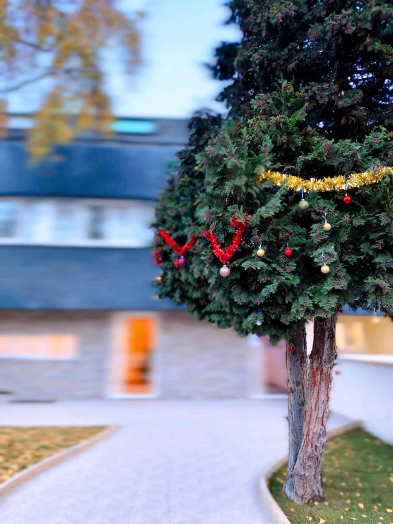 Property building in KoalaWakeup