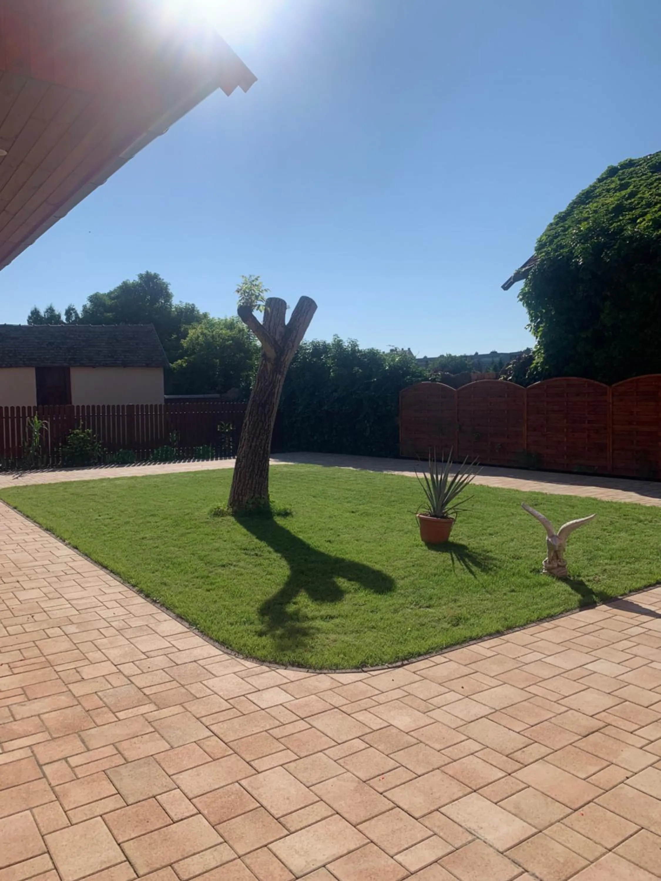 Garden in Szent István Wellness Panzió