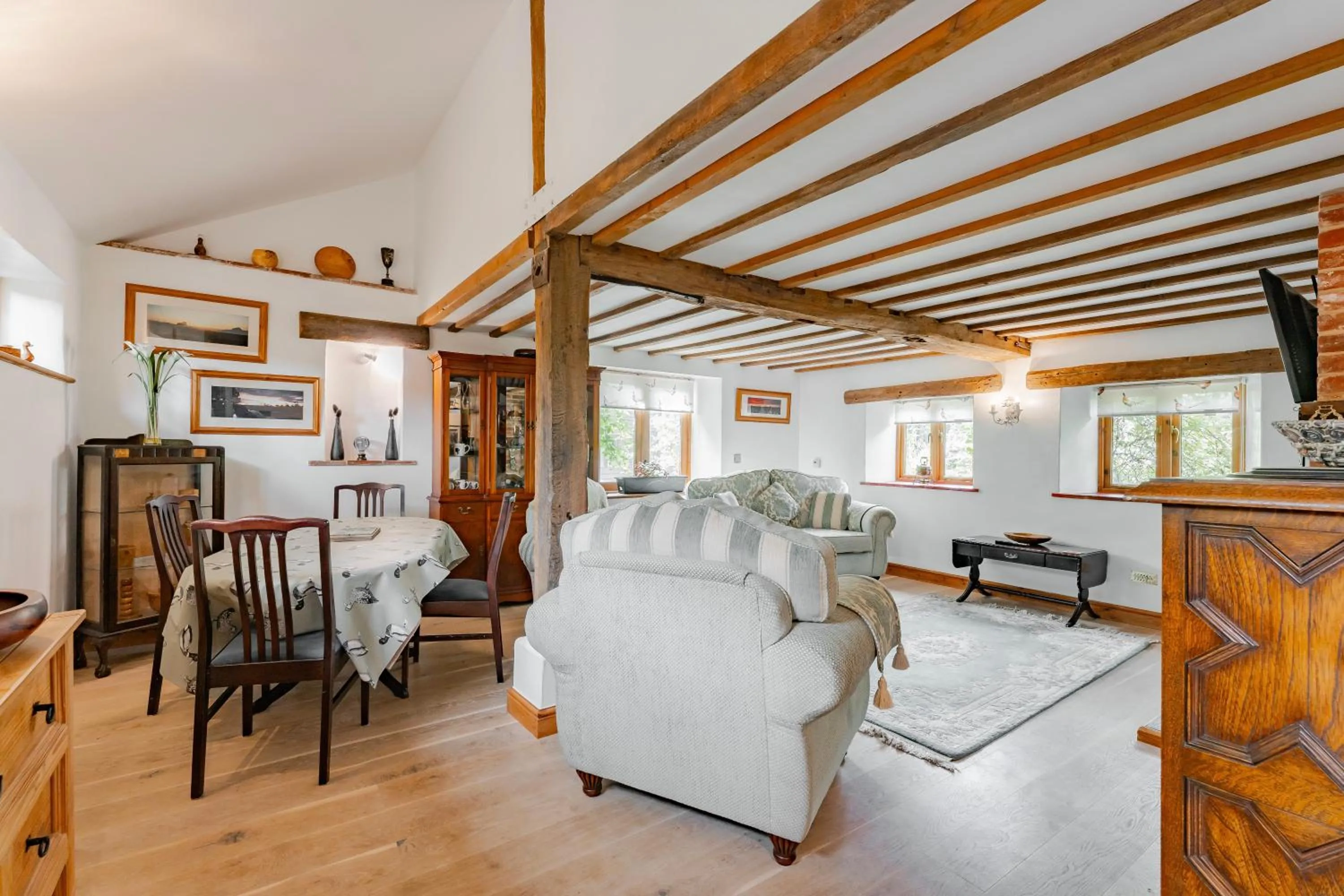 TV and multimedia in the Orangery - BnB Suites