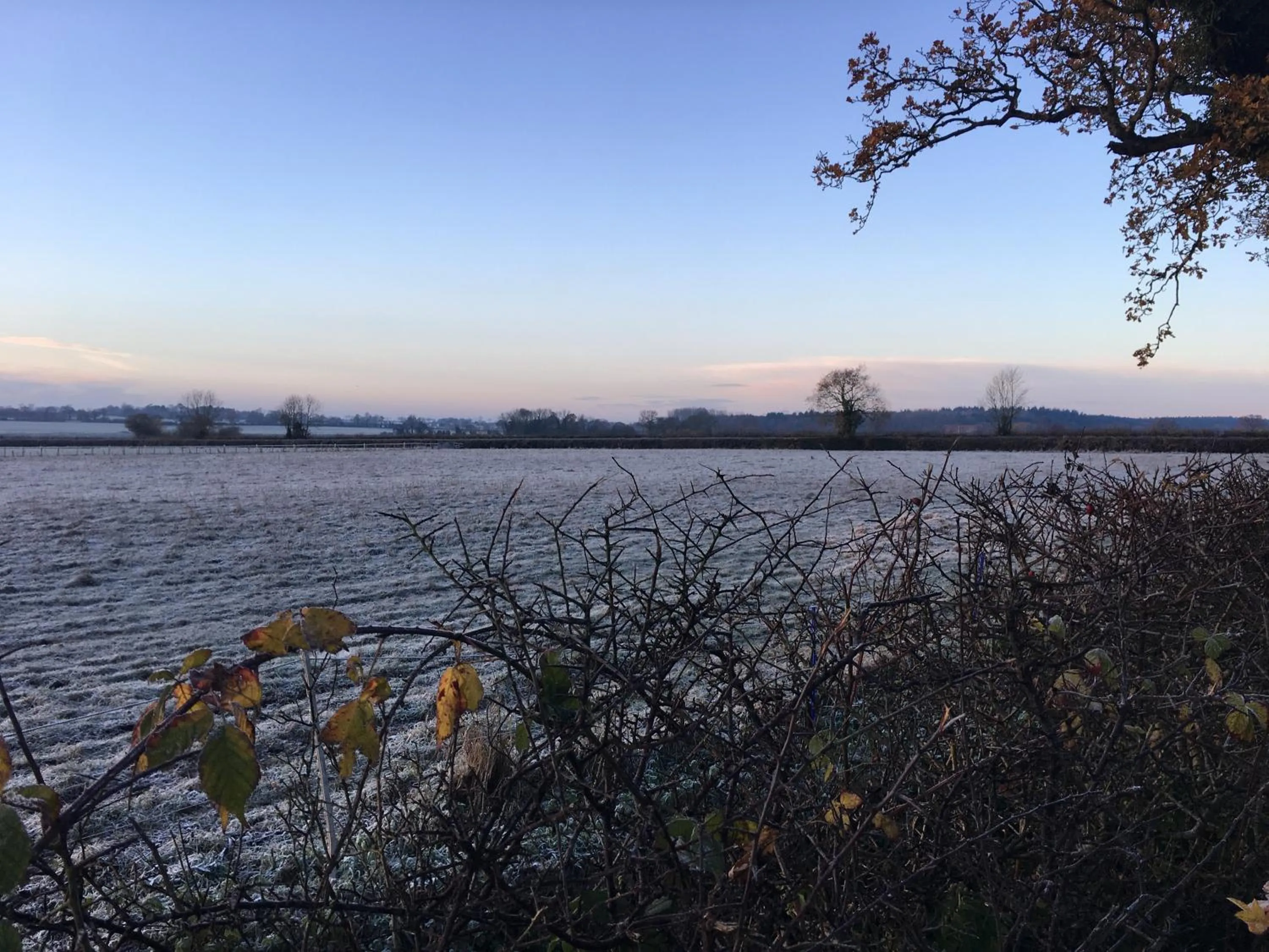 Activities in the Orangery - BnB Suites