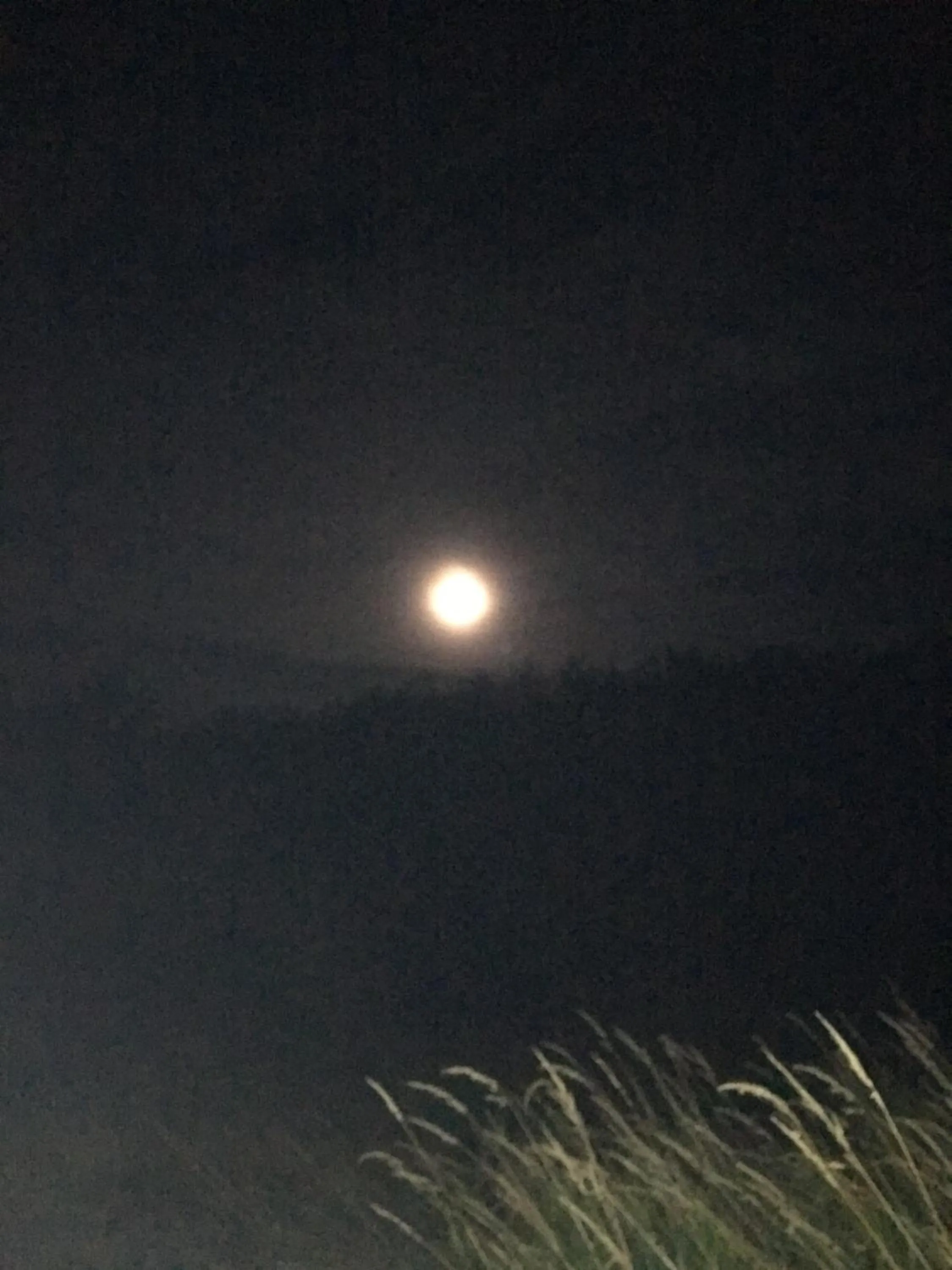 Off site in the Orangery - BnB Suites