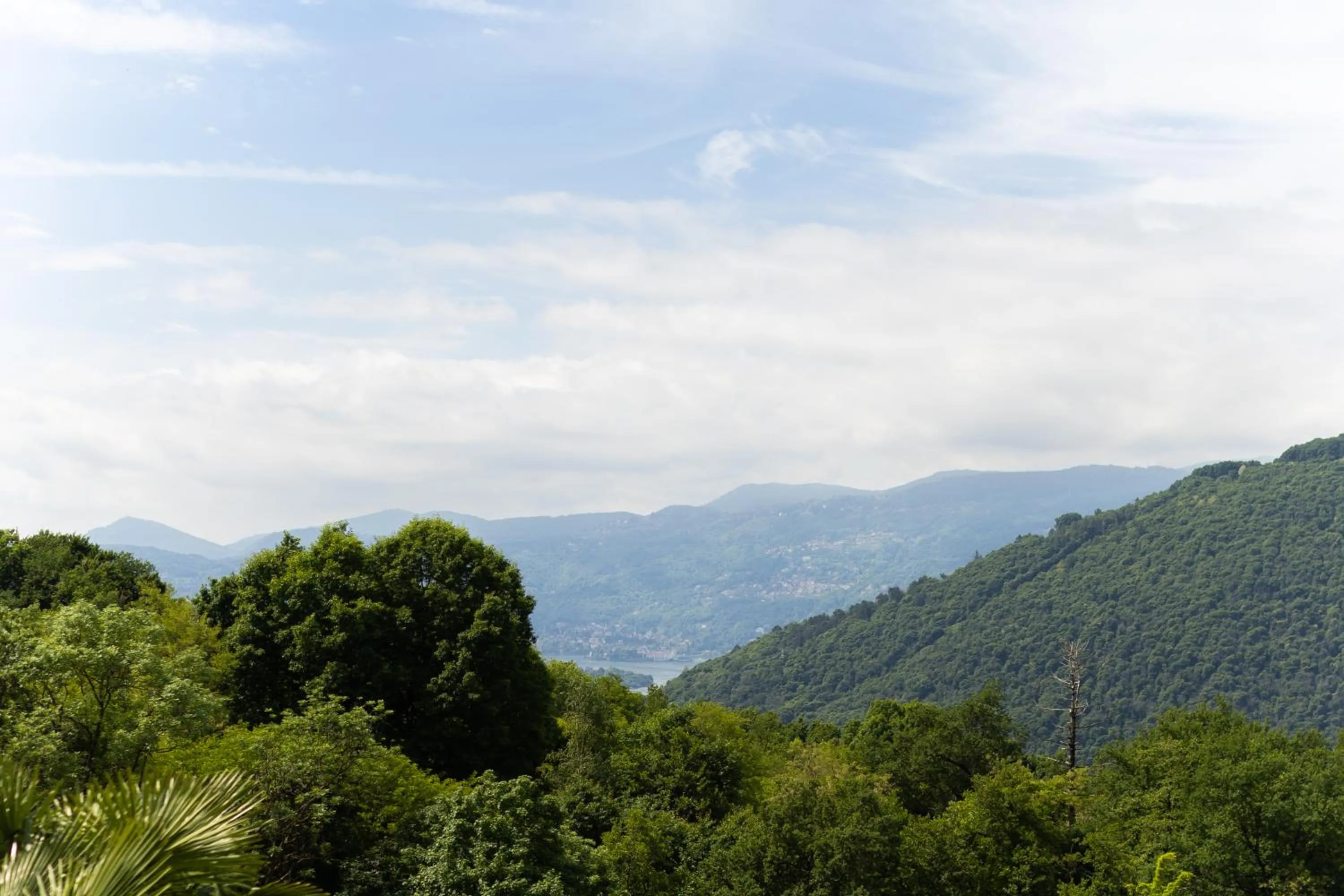 Casa della Musica