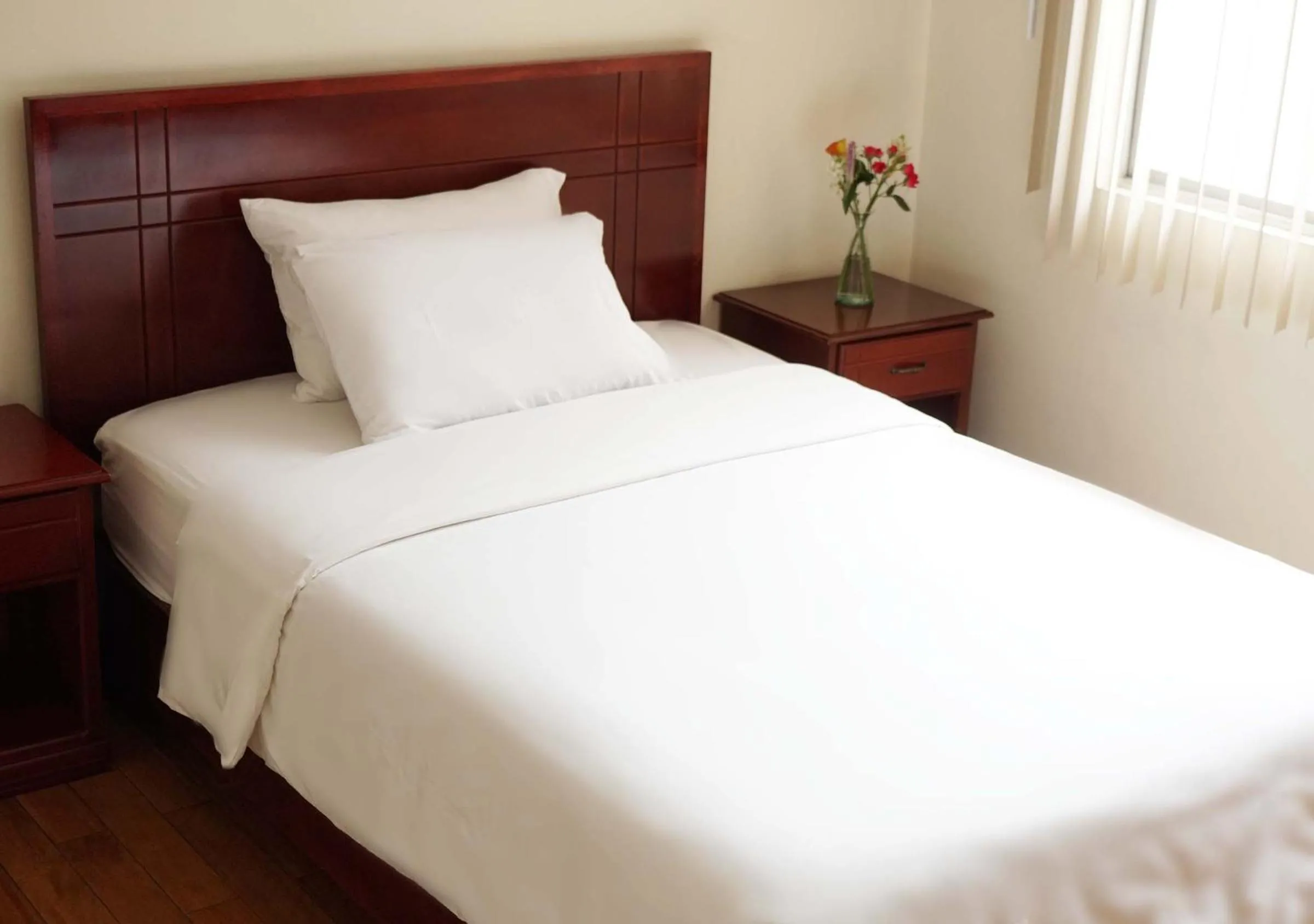 Single Room in Hotel Lottus