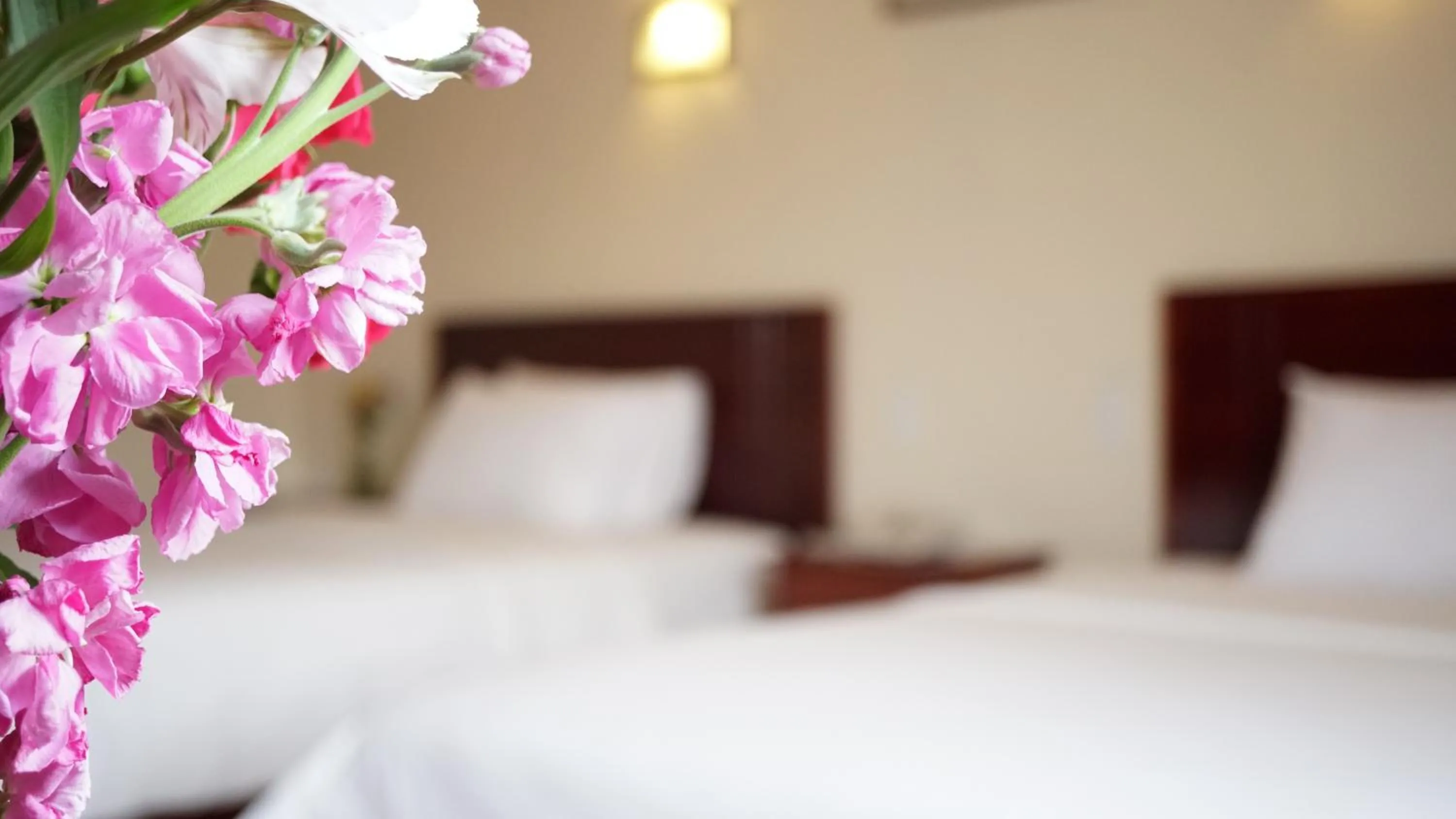 Hotel Lottus