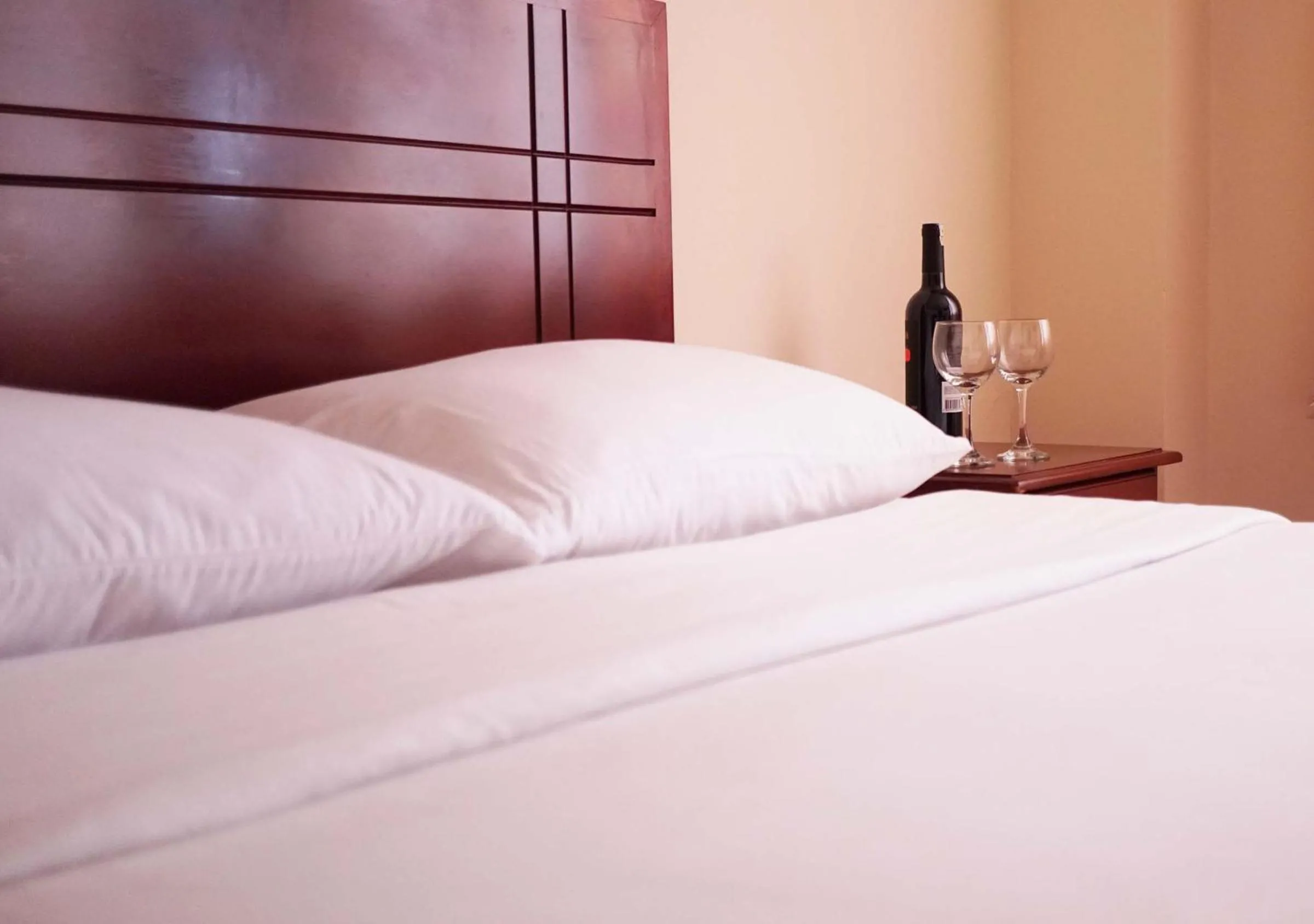 Standard Double Room (2 Adults) in Hotel Lottus