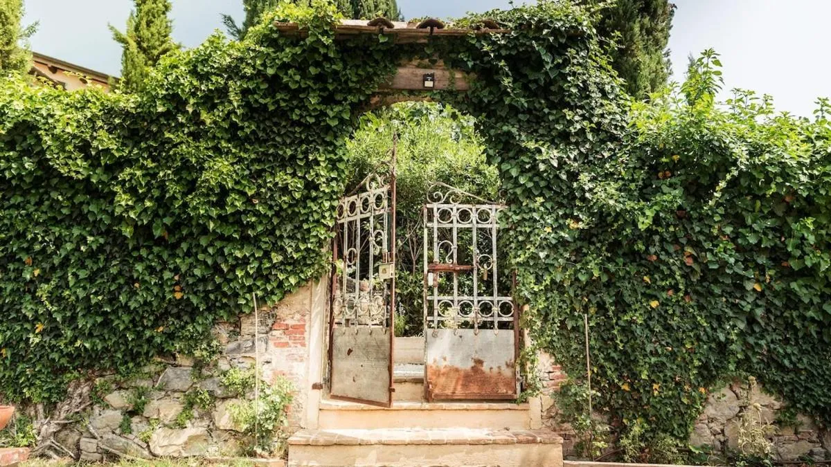 Rustico Dora