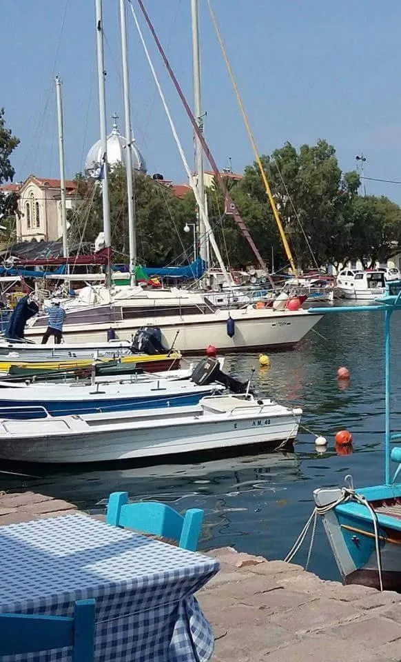 Studios Cosmopolitan