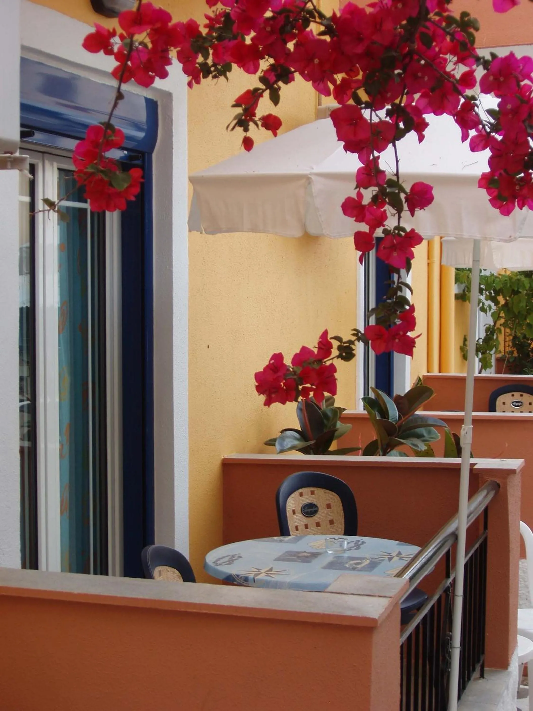 Studios Cosmopolitan