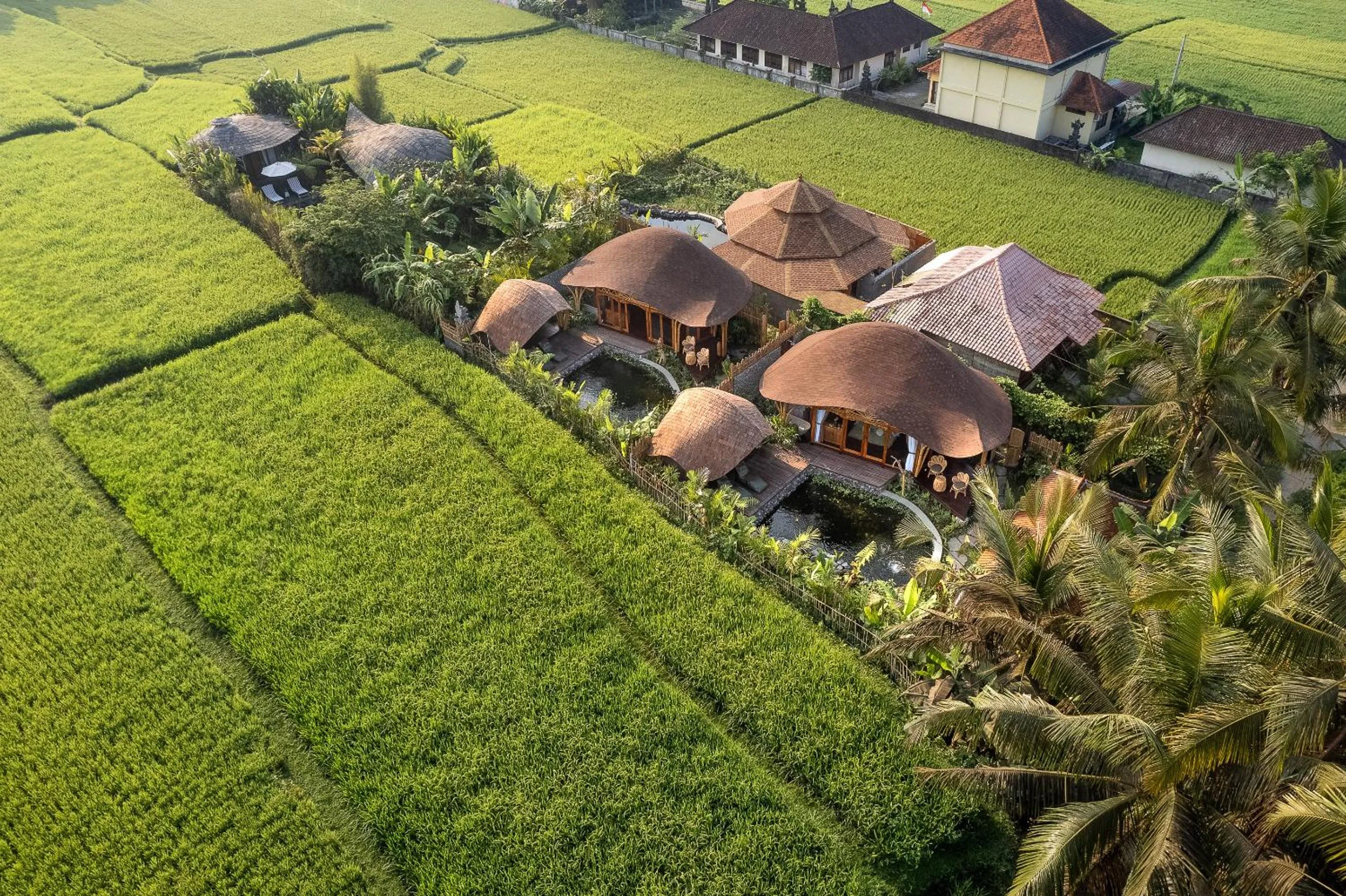 One-Bedroom Villa - single occupancy in Arapan Ubud Eco Villa