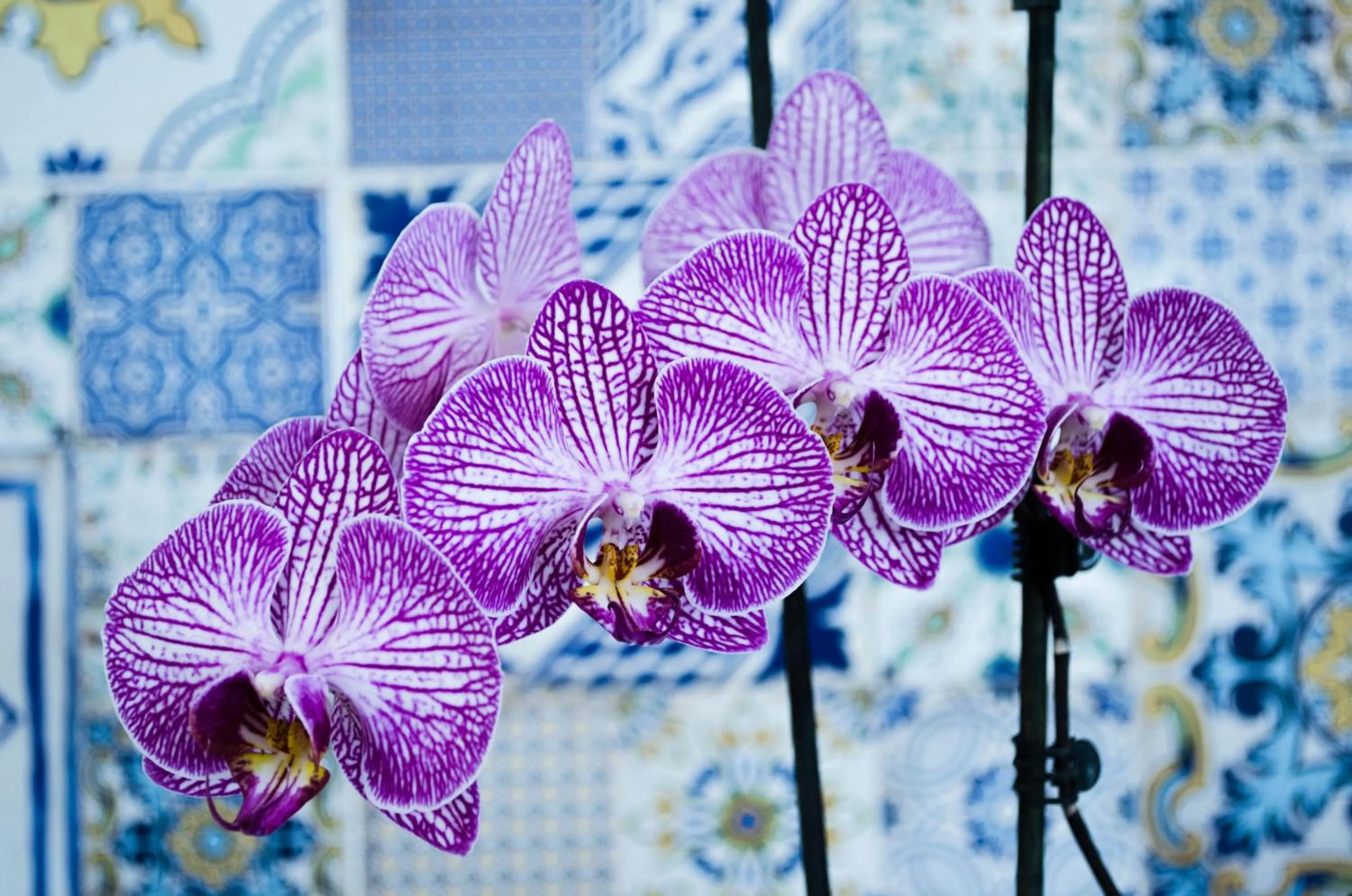 Decorative detail in Hotel Regina del Mare