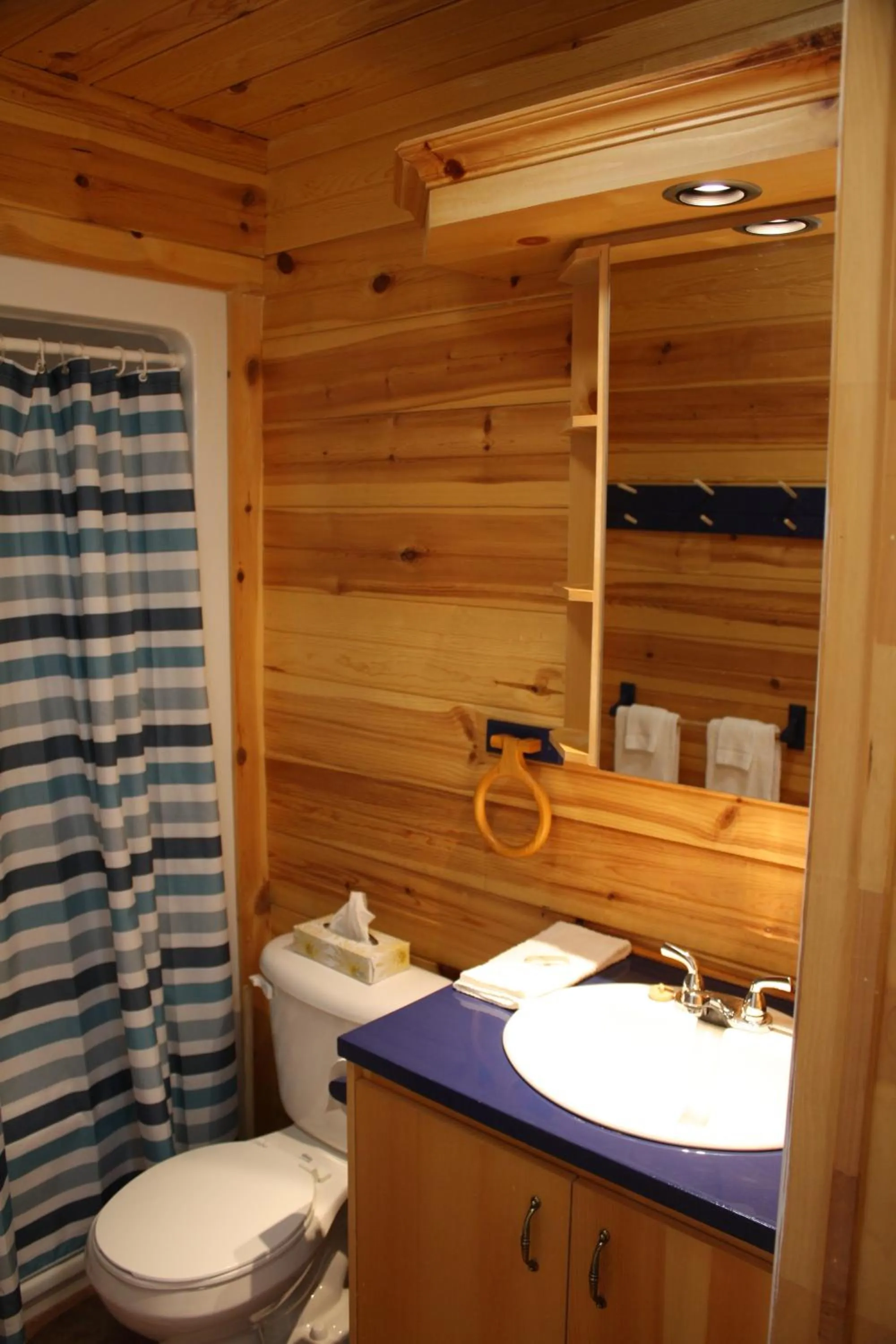 Bathroom in Chalets et Spa Lac Saint-Jean