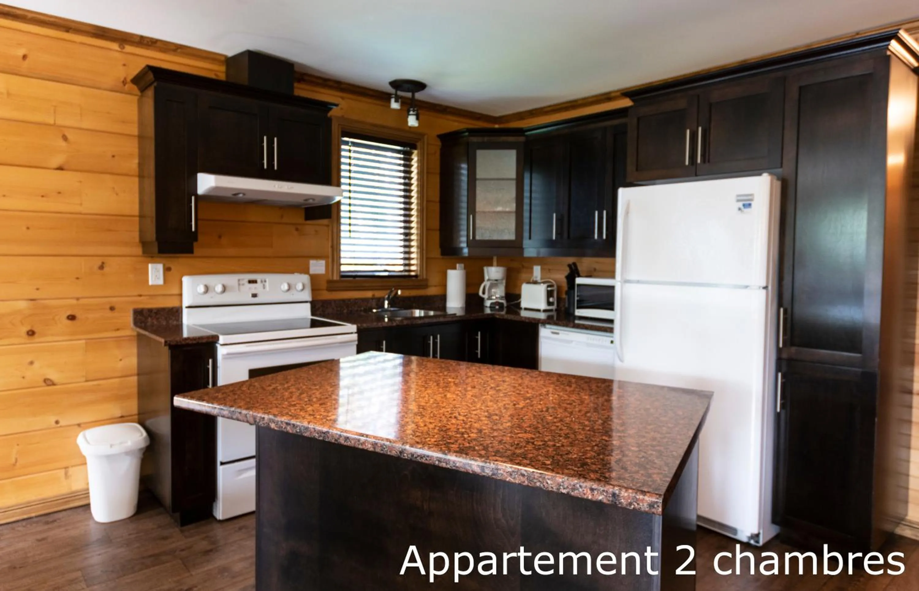 Kitchen or kitchenette in Chalets et Spa Lac Saint-Jean