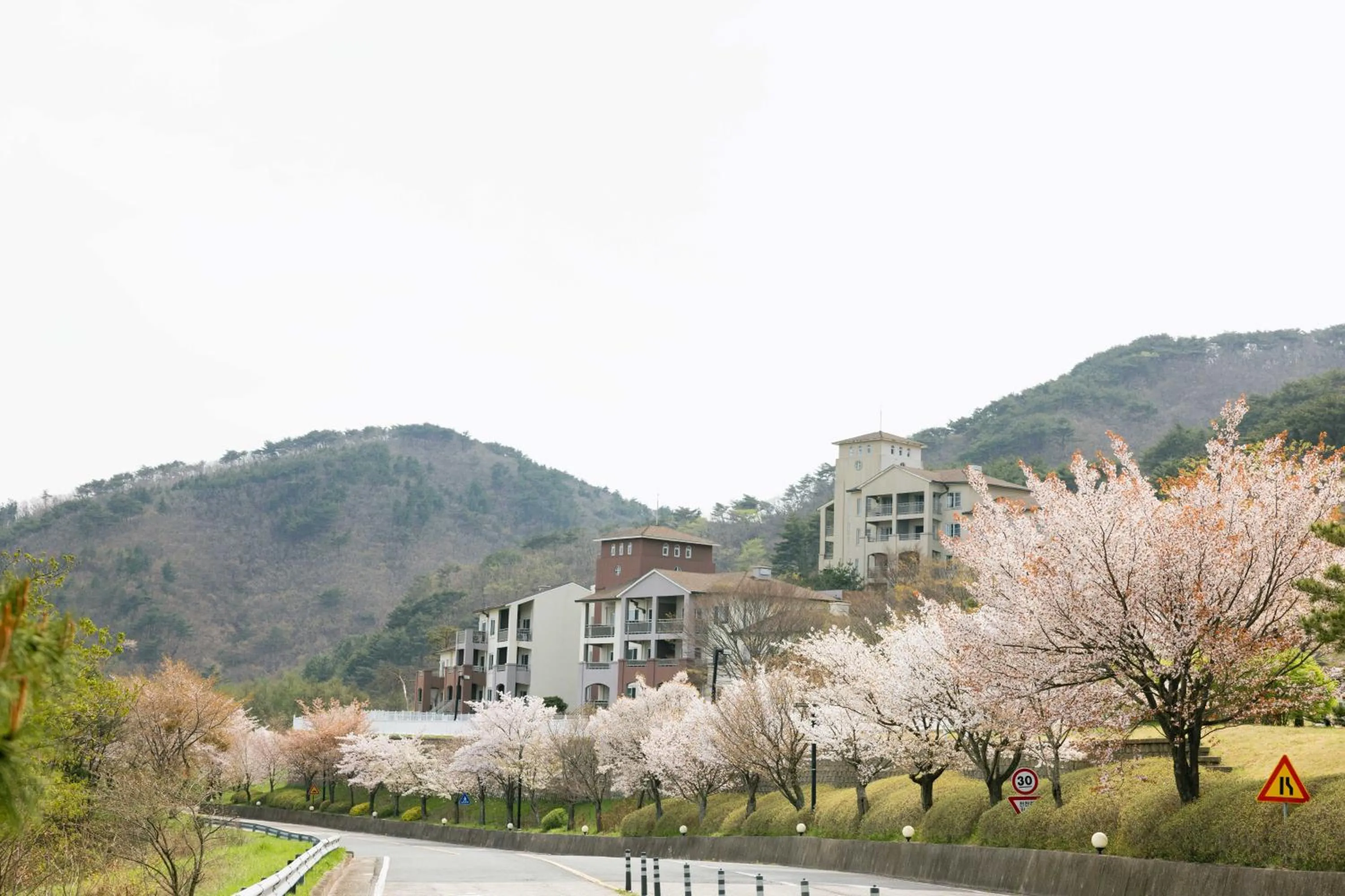 Spring in Gyeongju Mauna Ocean Resort