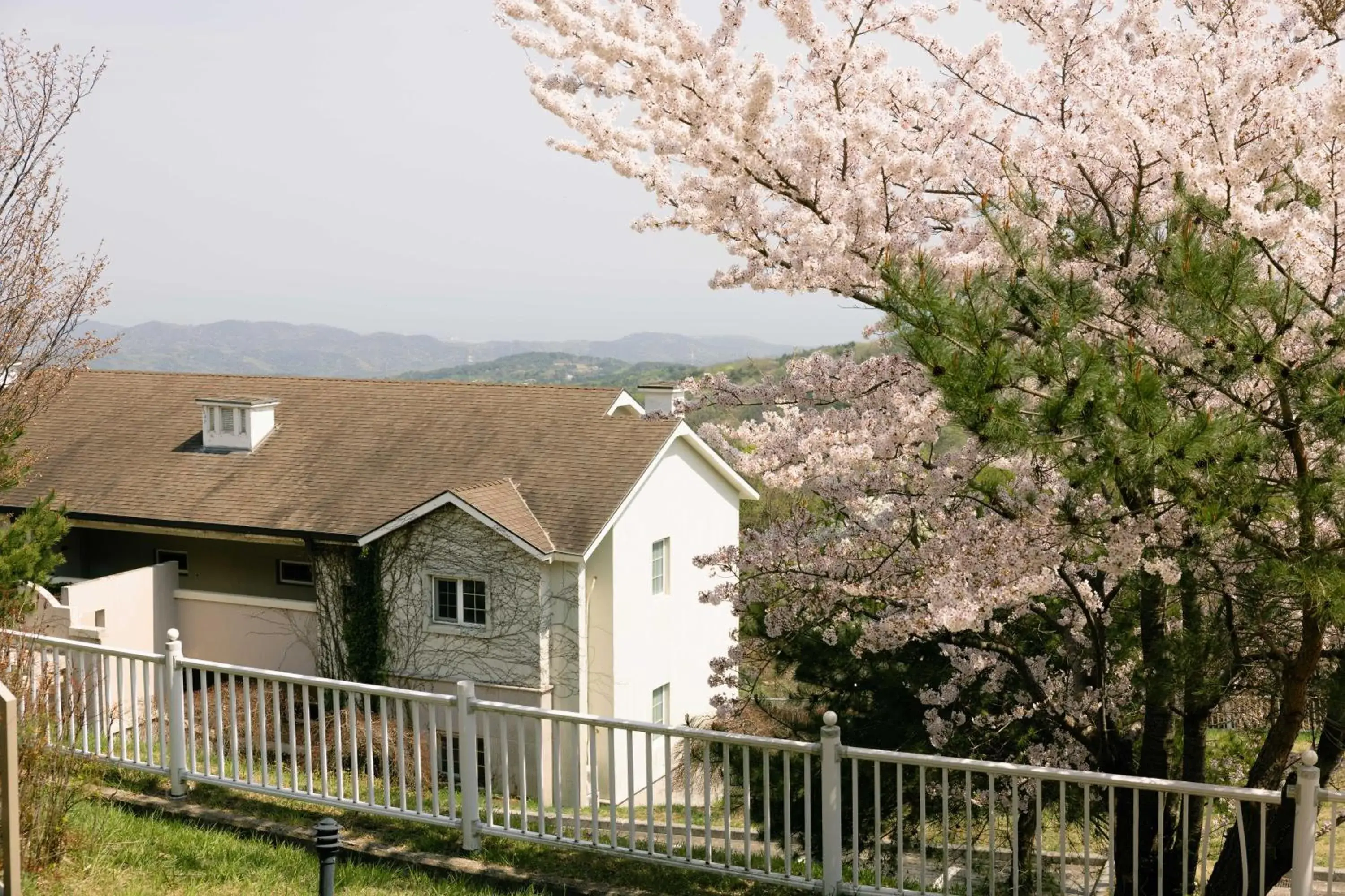 Property building in Gyeongju Mauna Ocean Resort Property building in Gyeongju Mauna Ocean Resort