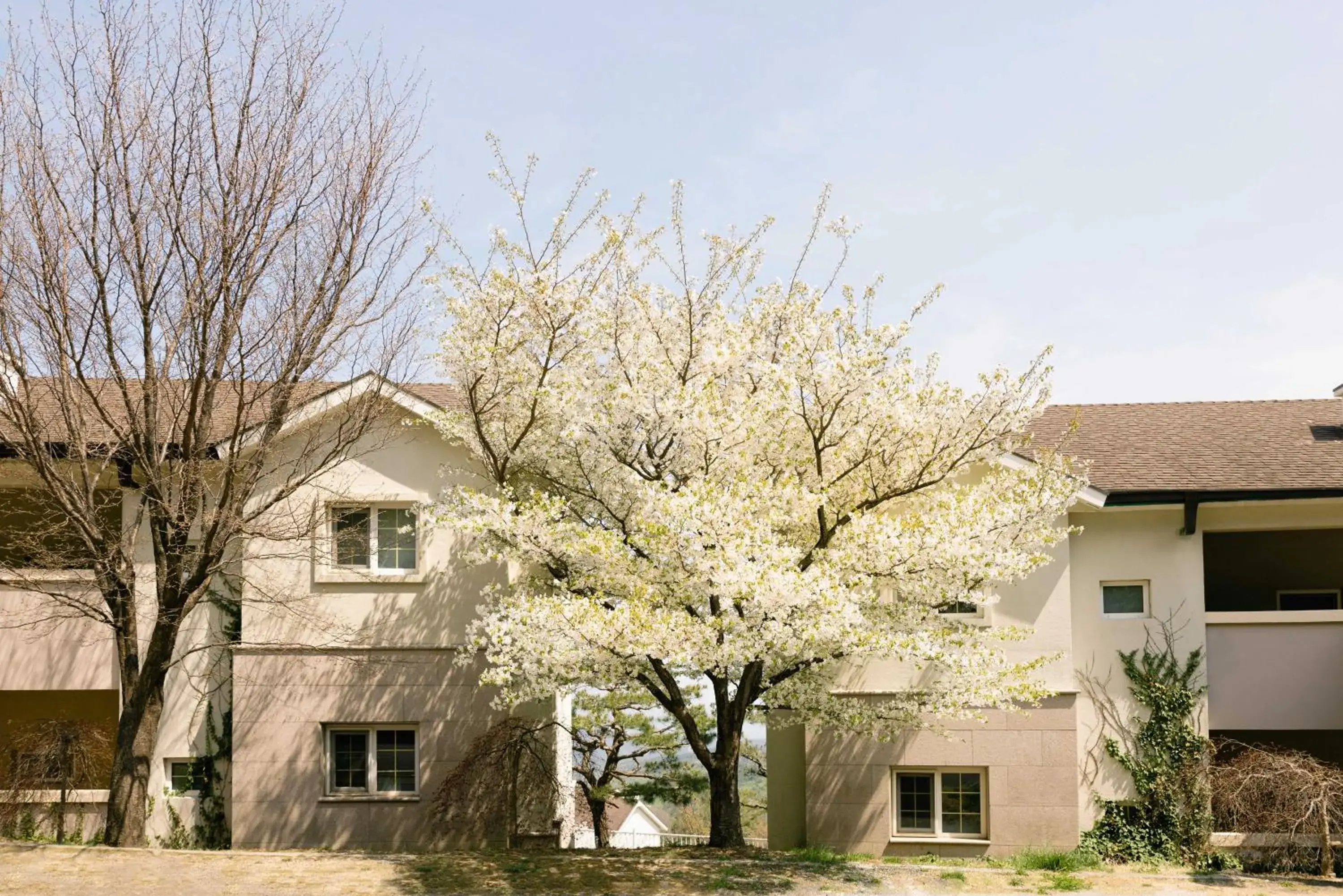 Property building in Gyeongju Mauna Ocean Resort Property building in Gyeongju Mauna Ocean Resort