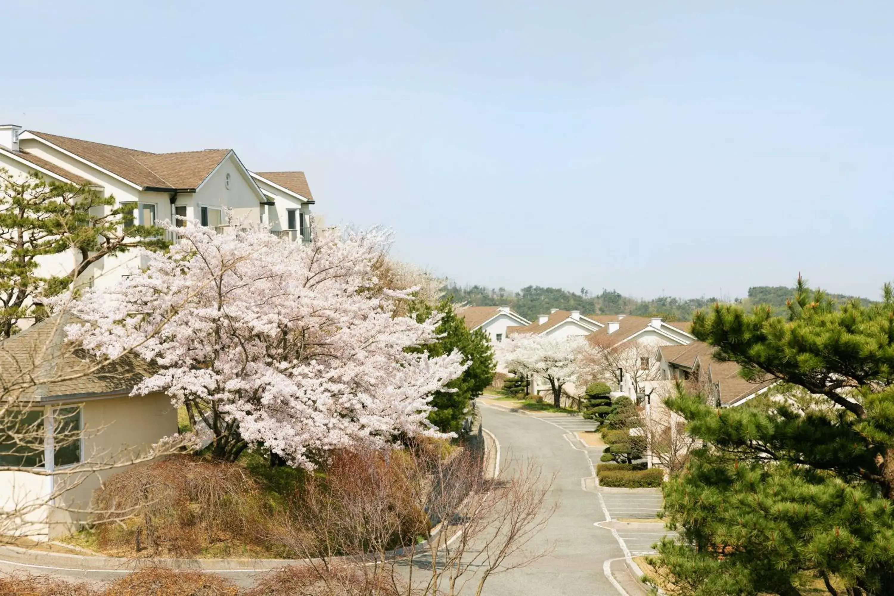 Gyeongju Mauna Ocean Resort Gyeongju Mauna Ocean Resort