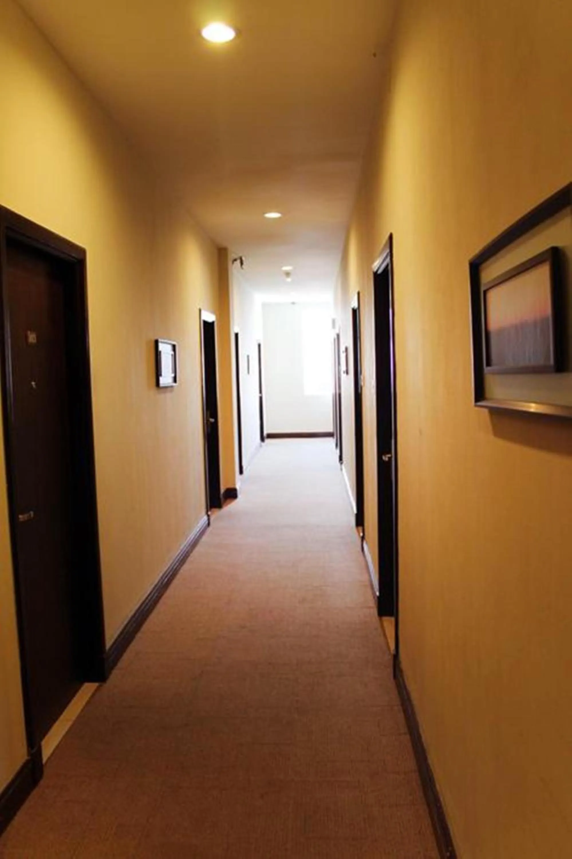 Decorative detail in Ginasuite Hotel