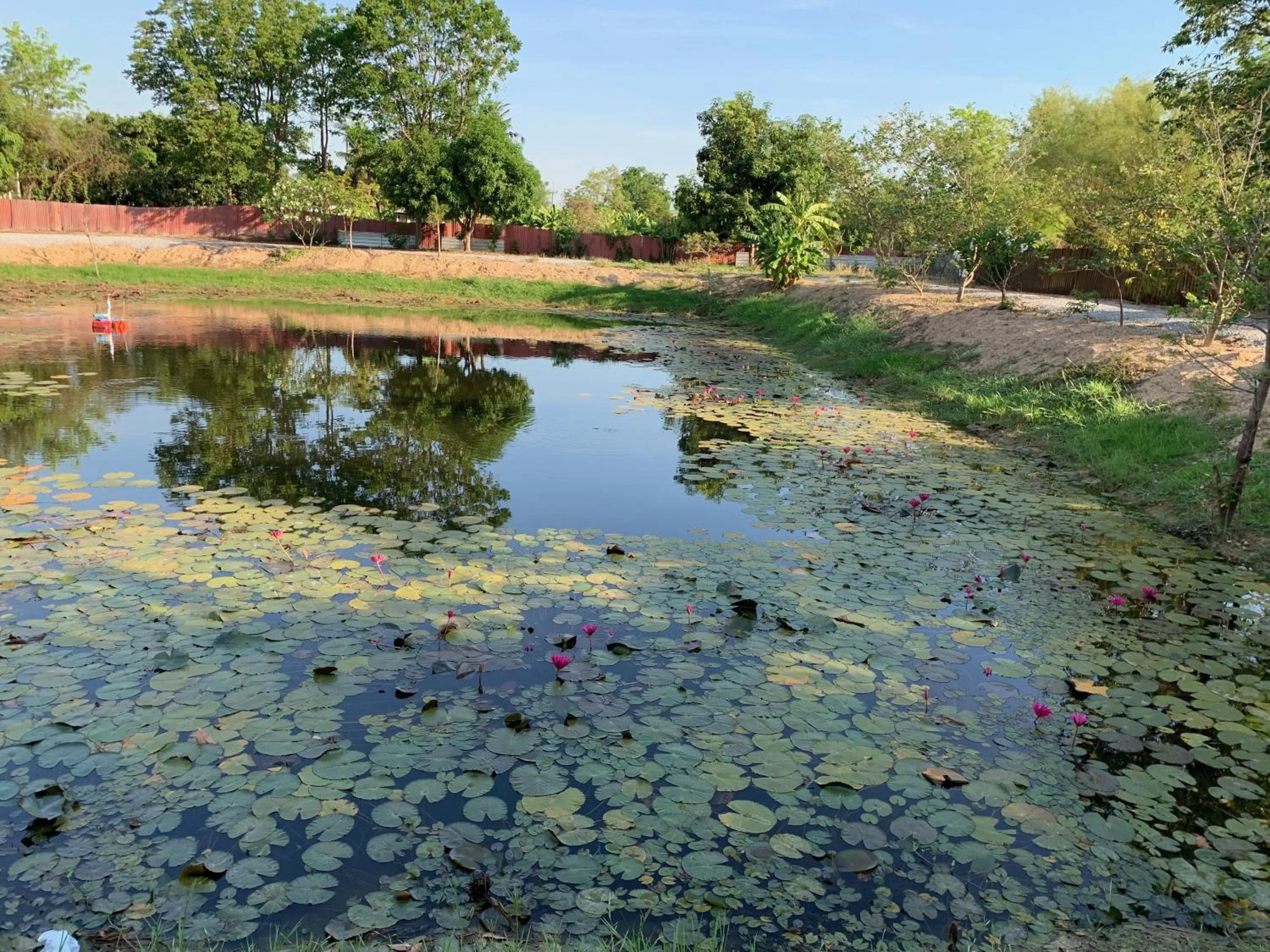 Natural landscape in Kalae Resort