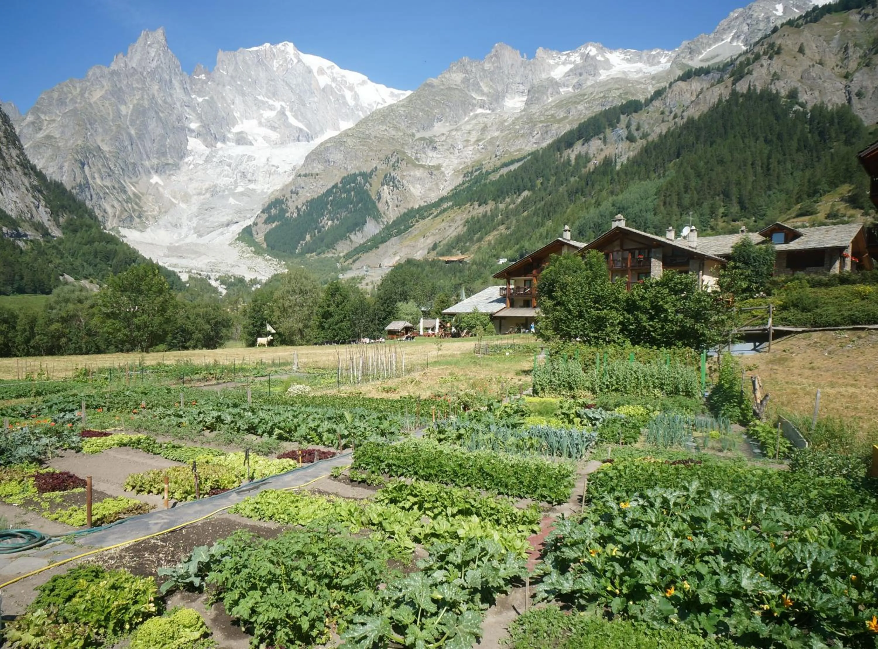 Natural landscape in Hotel Aiguille Noire