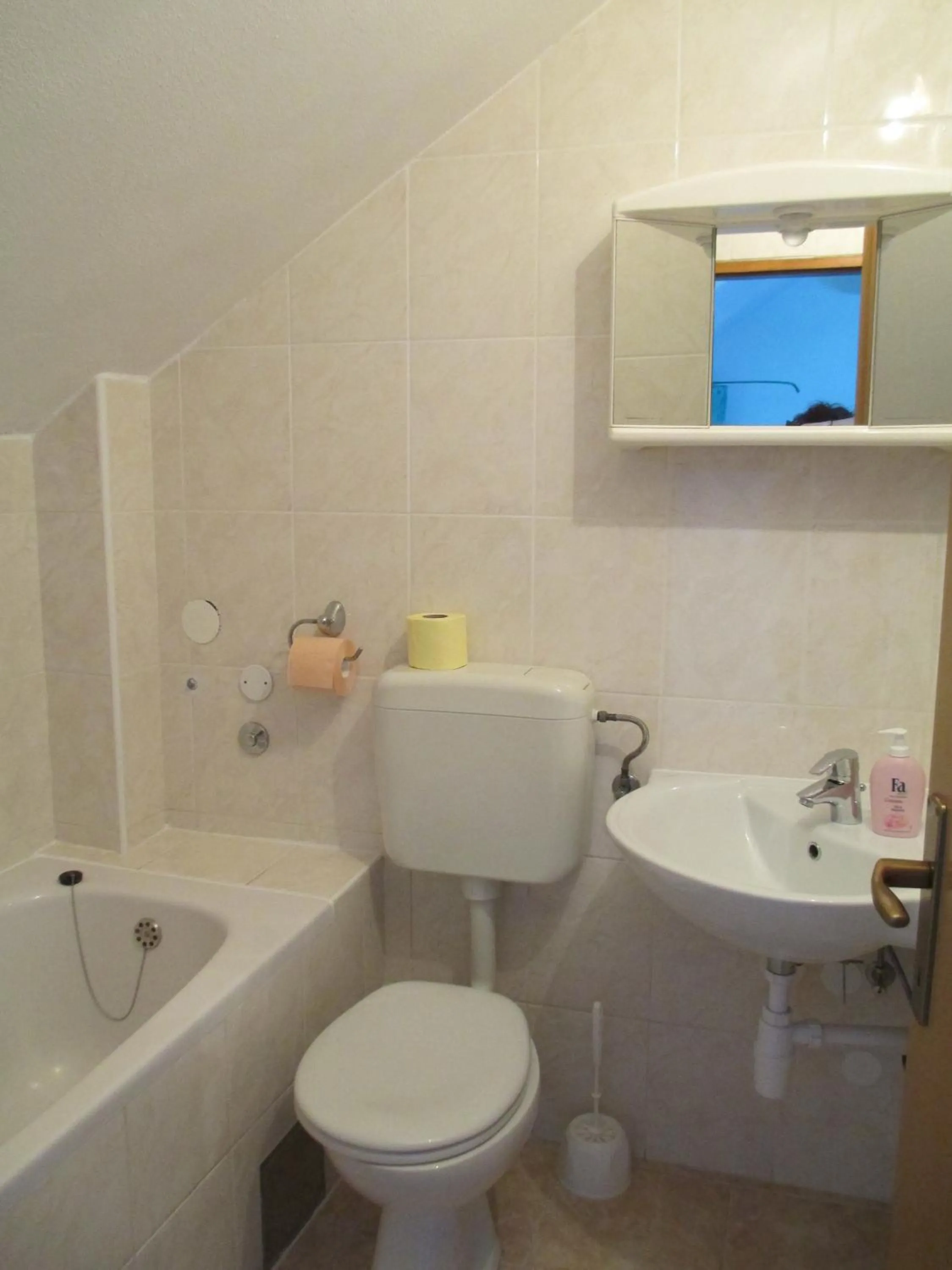 Toilet in Apartments Acalinović