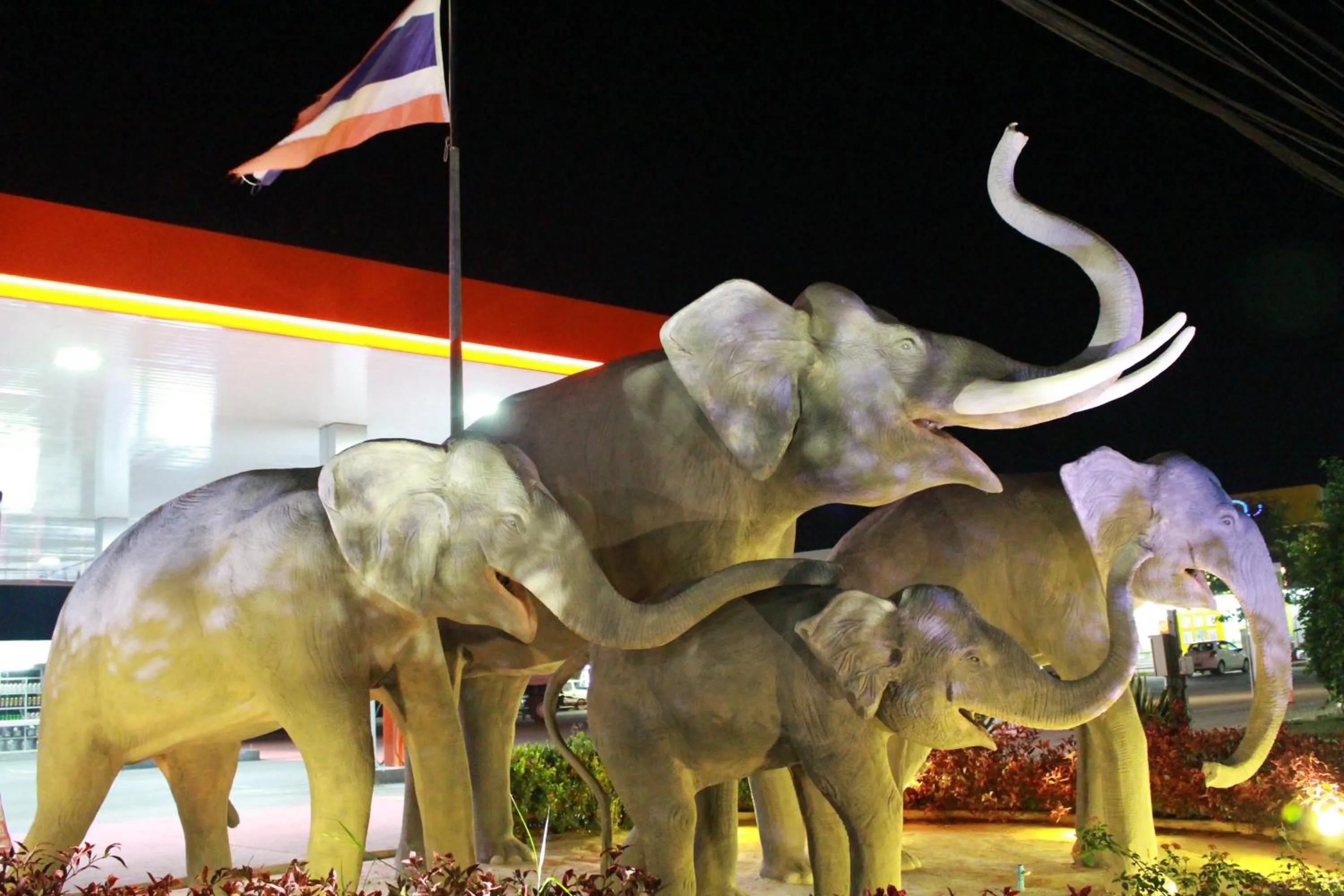 Property logo or sign in The Lephant Hotel