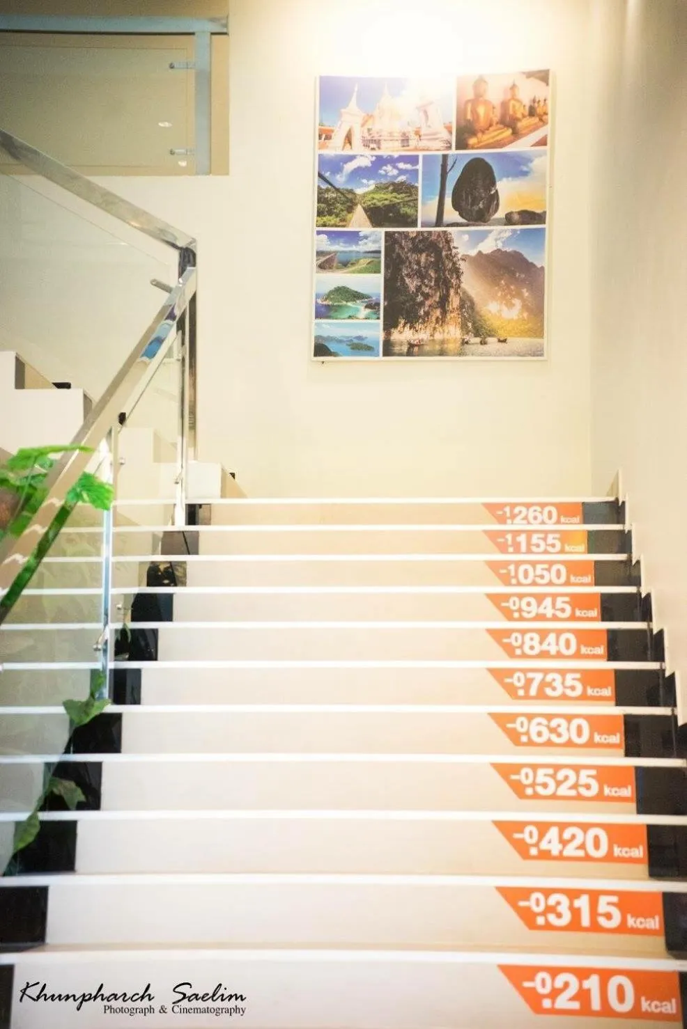 Decorative detail in The Lephant Hotel