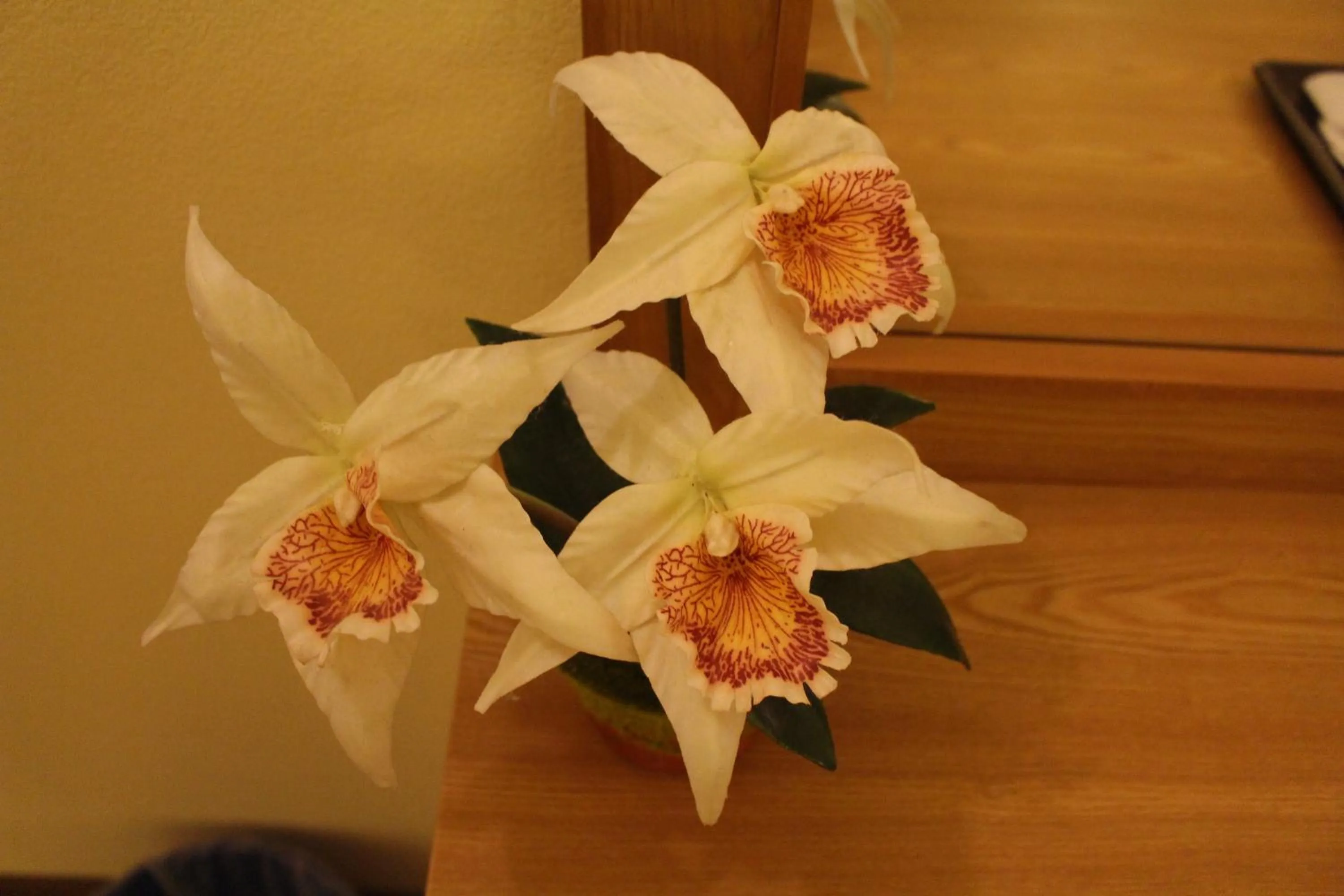 Decorative detail in The Lephant Hotel