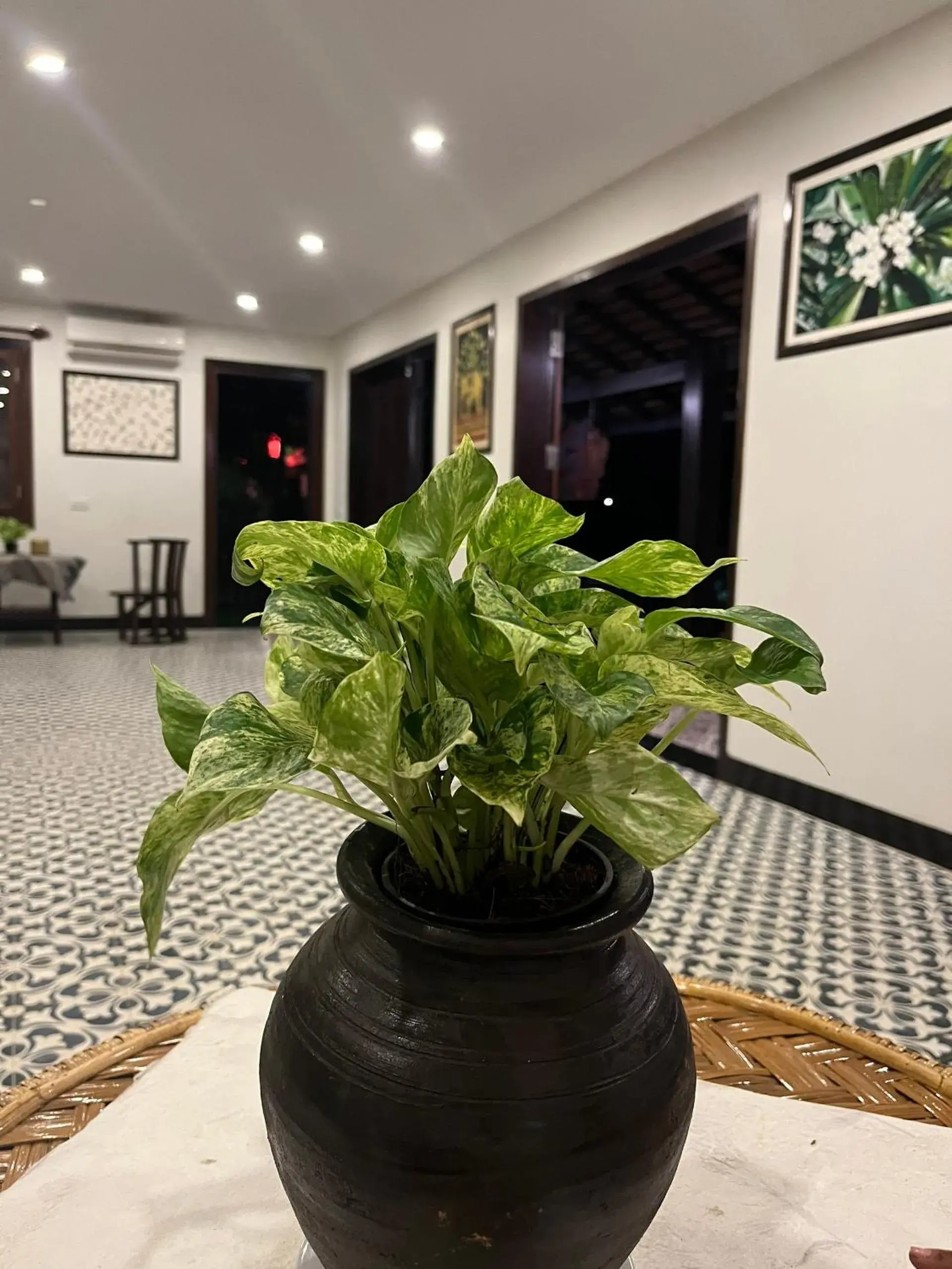 Restaurant/places to eat in Villa Namkhan Heritage Restaurant/places to eat in Villa Namkhan Heritage