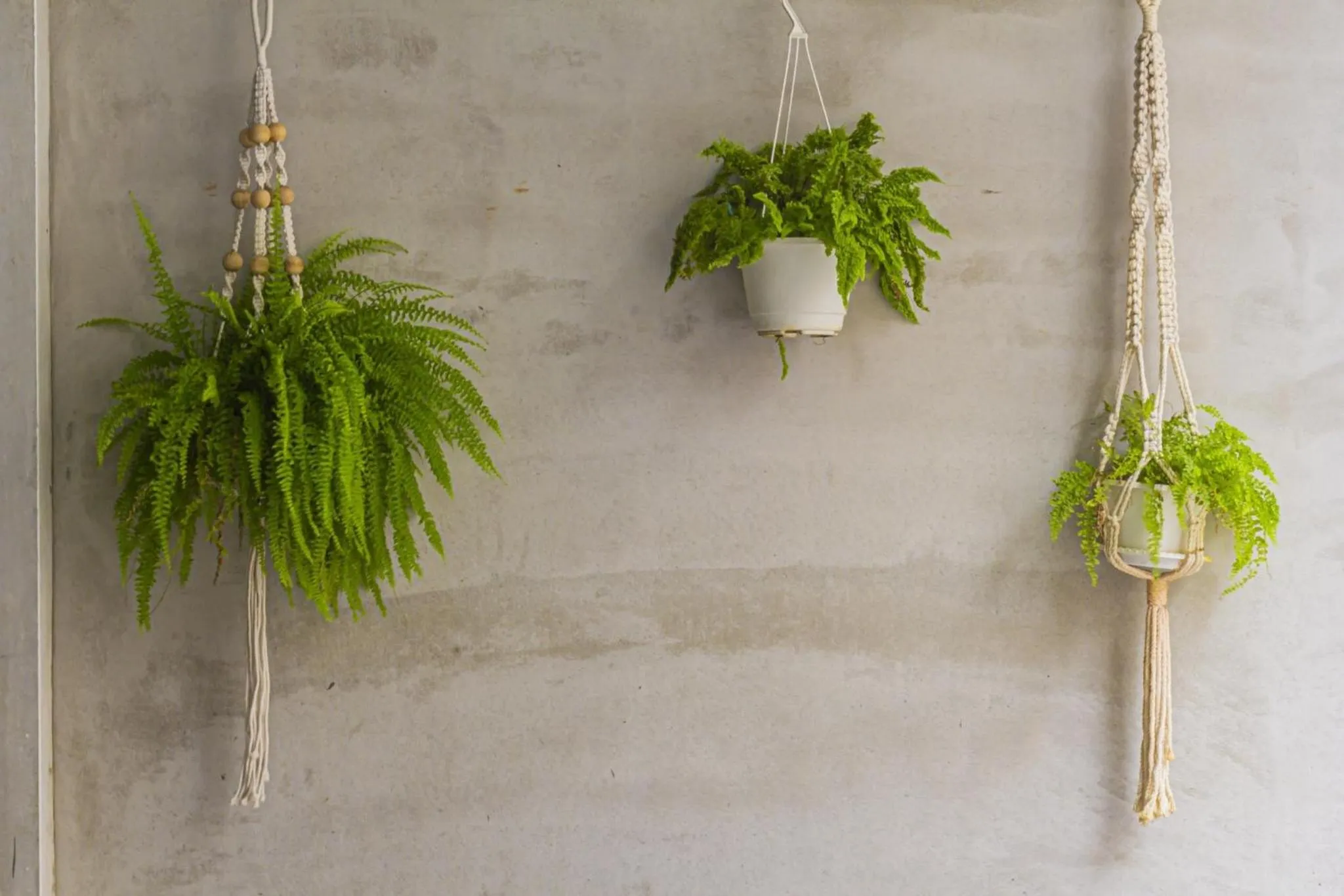 Decorative detail in 仁愛小公館-市區近東大門