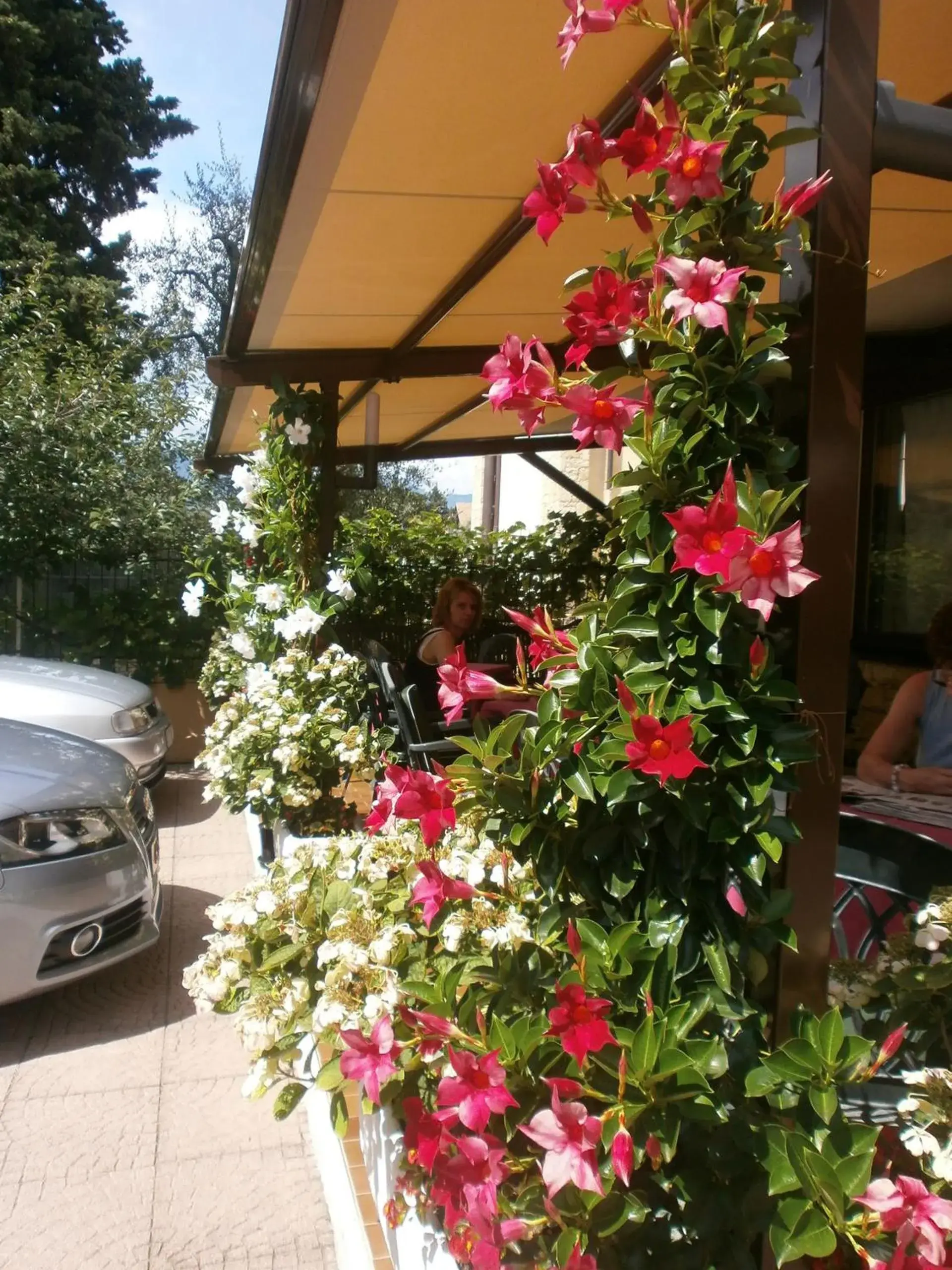 Balcony/Terrace in Albergo Al Pescatore