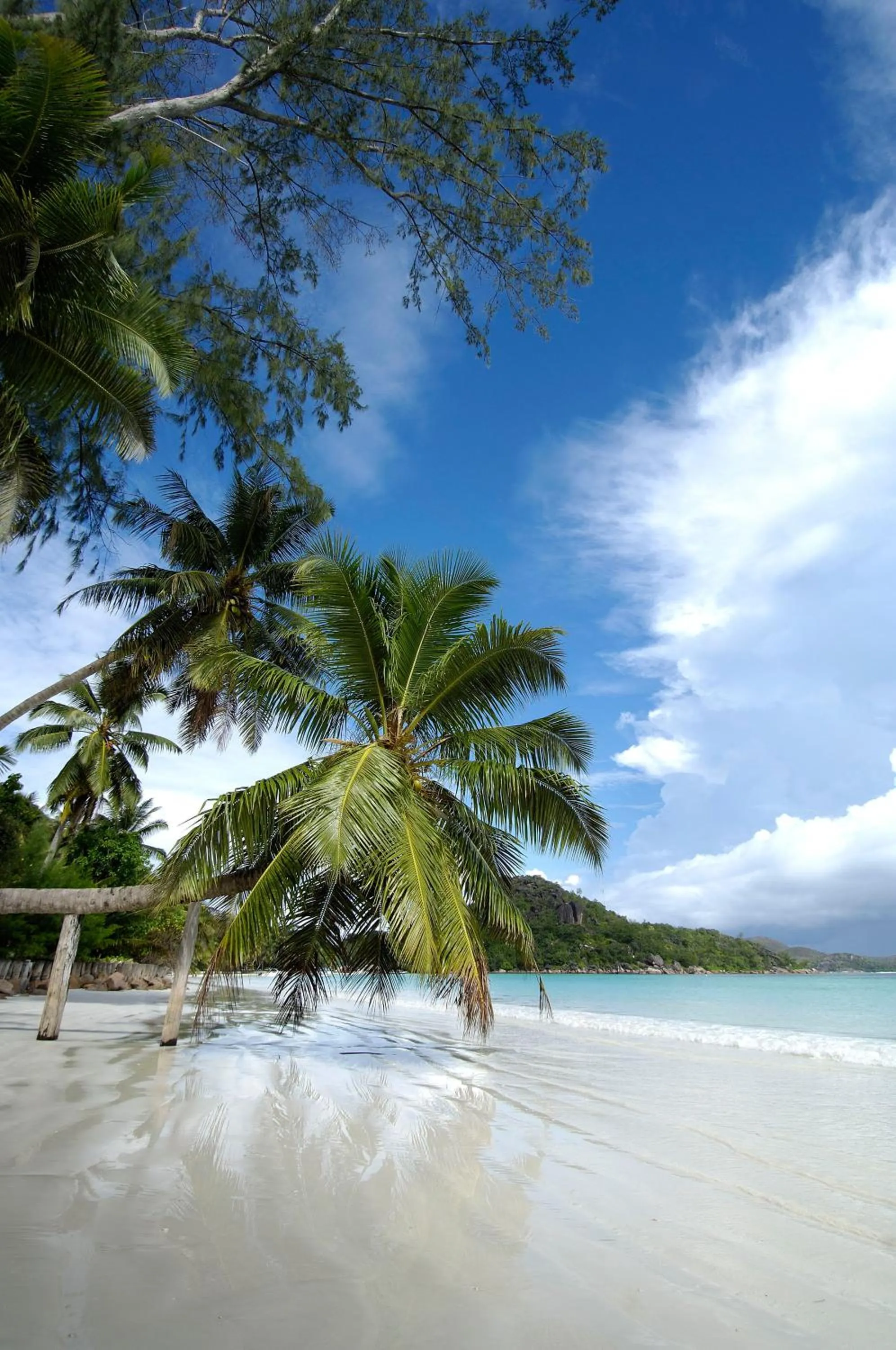Beach in Berjaya Praslin Resort