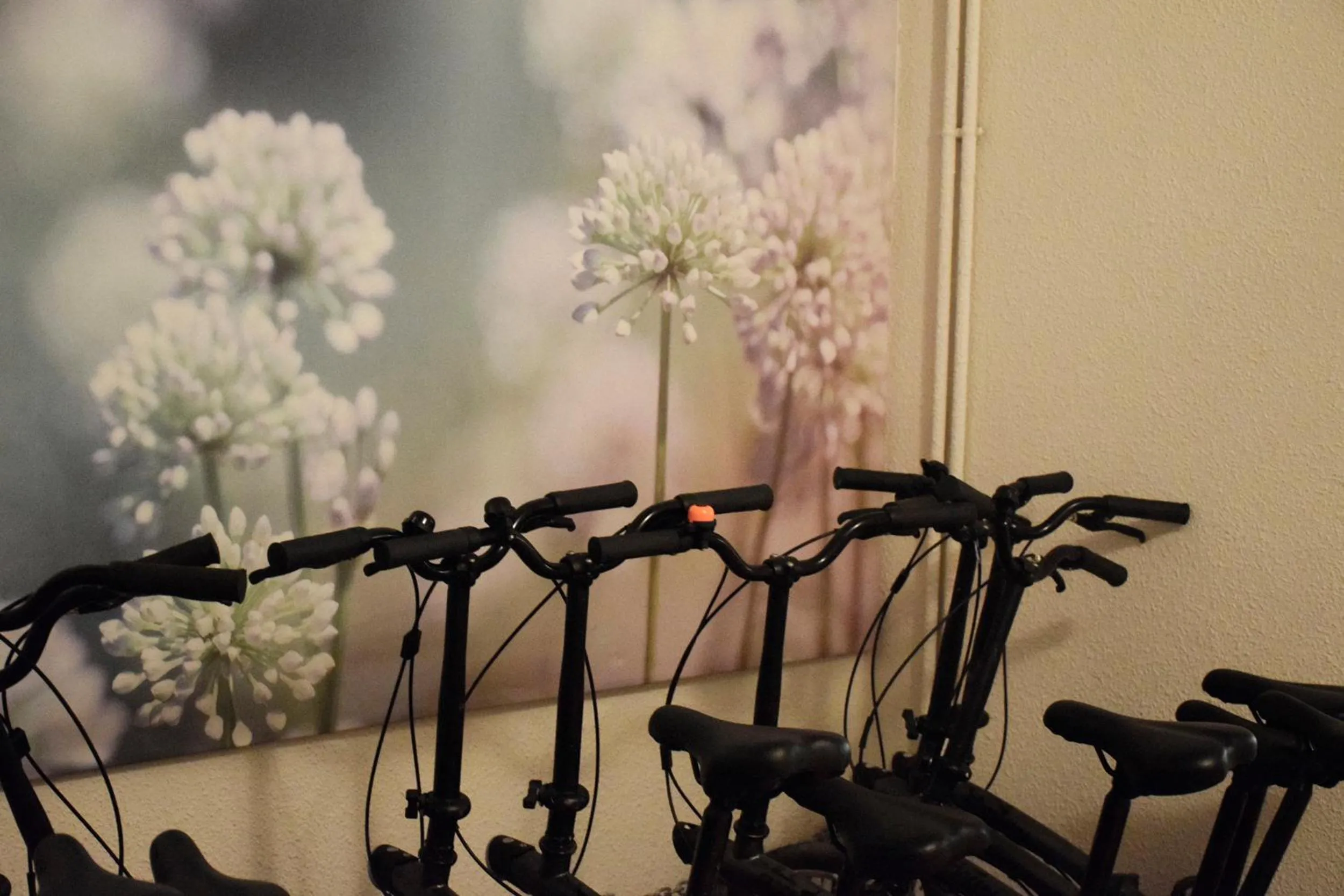 Cycling in VALENCIA SUITS YOU Centro Histórico, Establecimiento Automatizado-Fast Auto Check in&Out, Solo para Adultos-Adults only