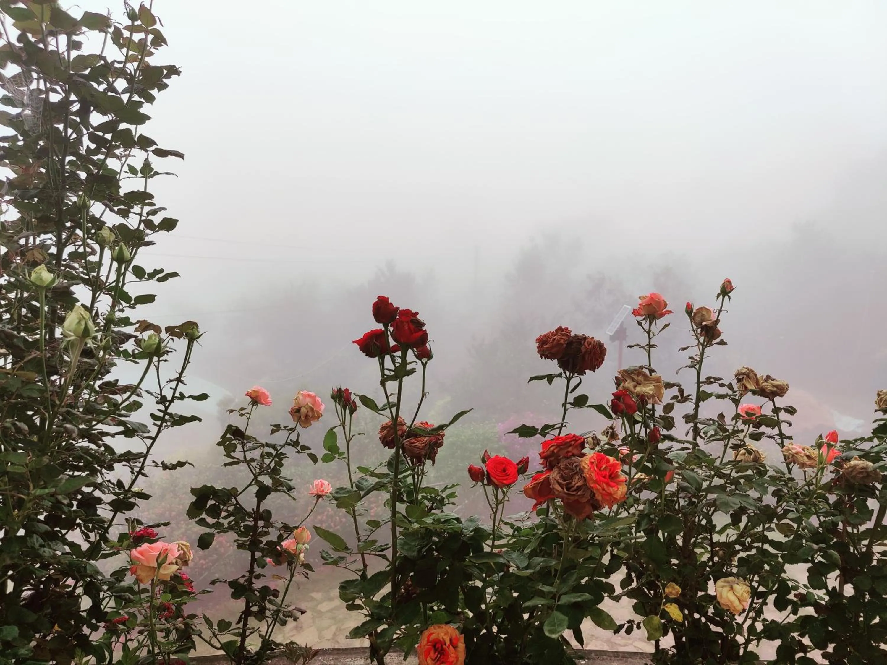 Property building in Cleveland Resorts Kanthalloor