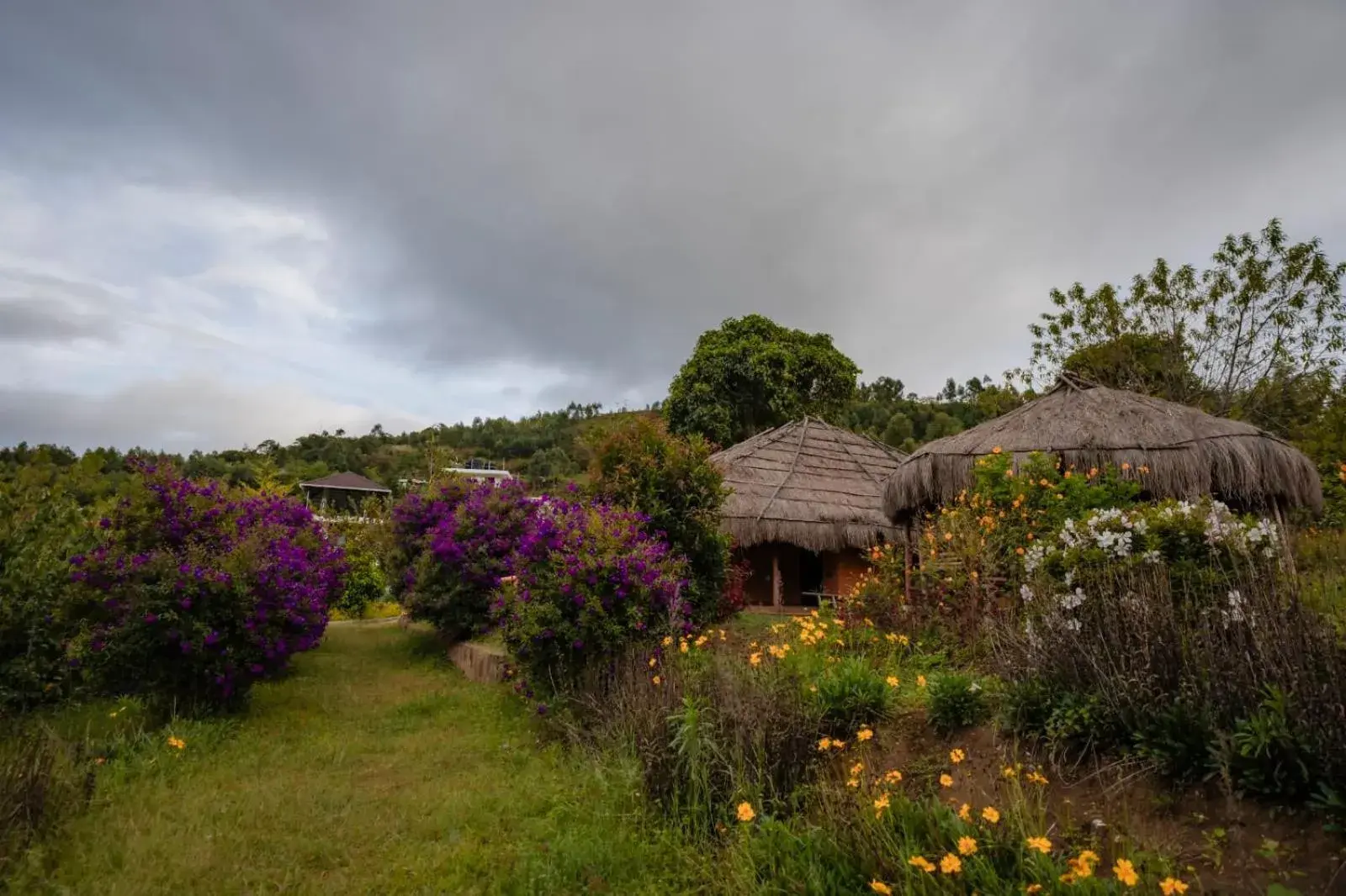 Superior Double Room in Cleveland Resorts Kanthalloor Superior Double Room in Cleveland Resorts Kanthalloor